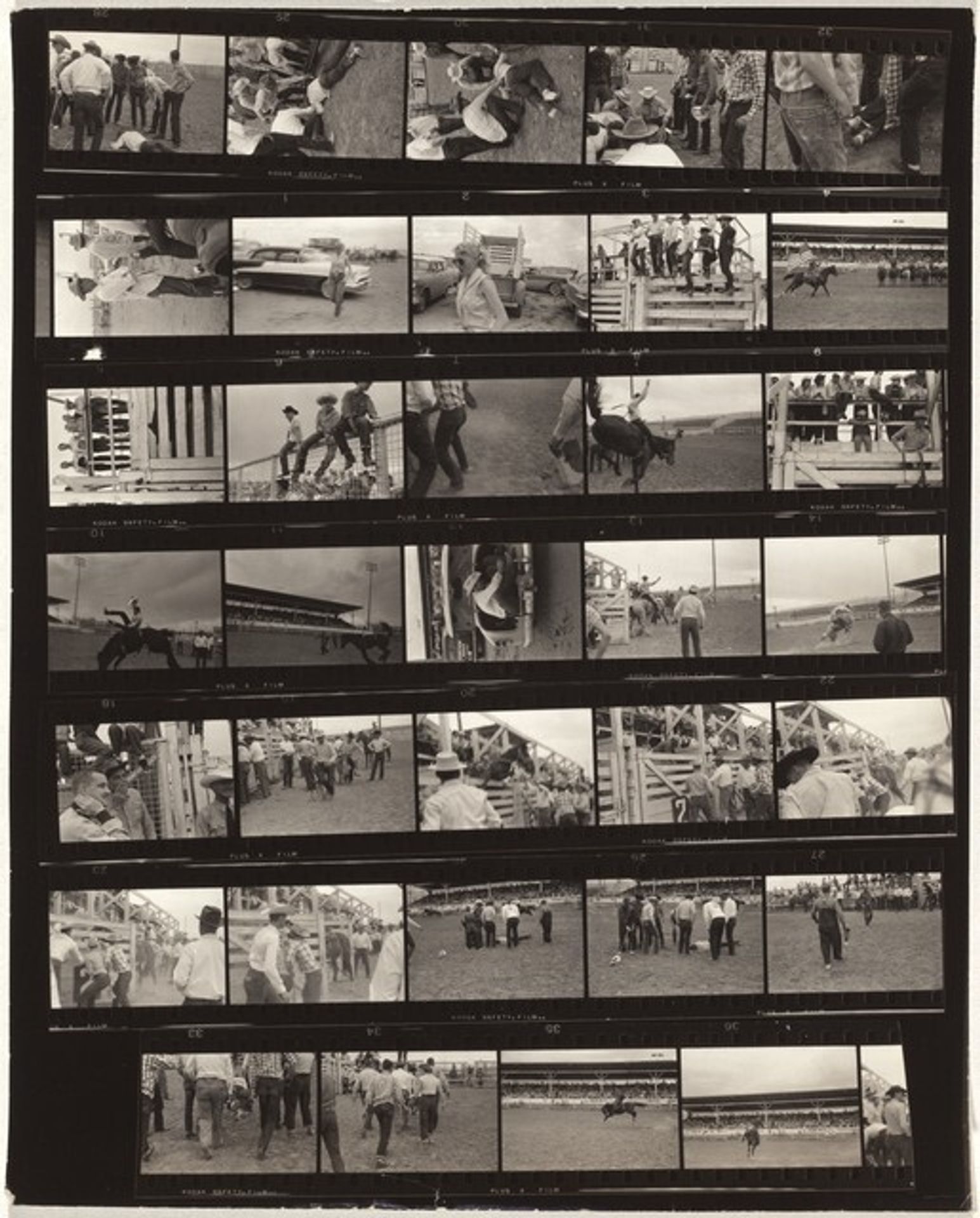 Guggenheim 713--Rodeo, Casper, Wyoming by Robert Frank