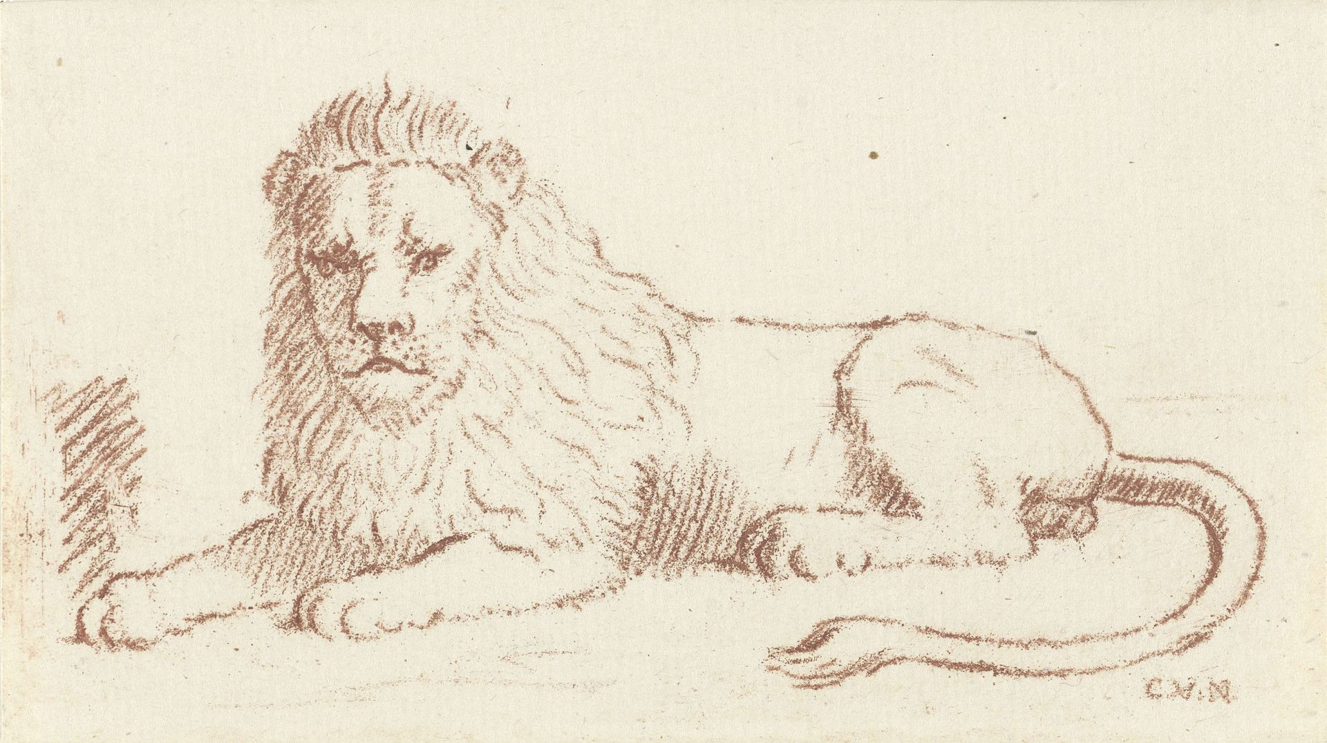 Leeuw by Cornelis van Noorde