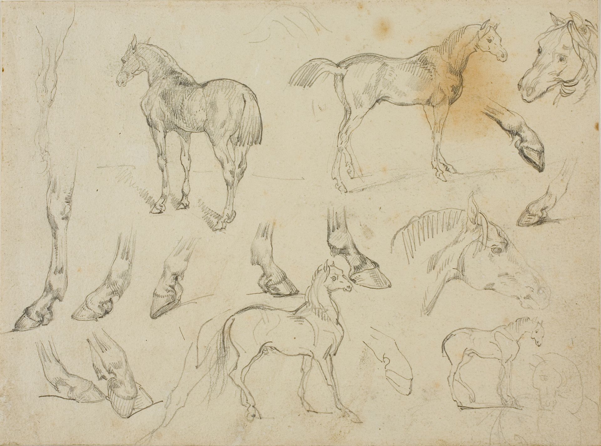 Sketches of a Horse by Théodore Géricault