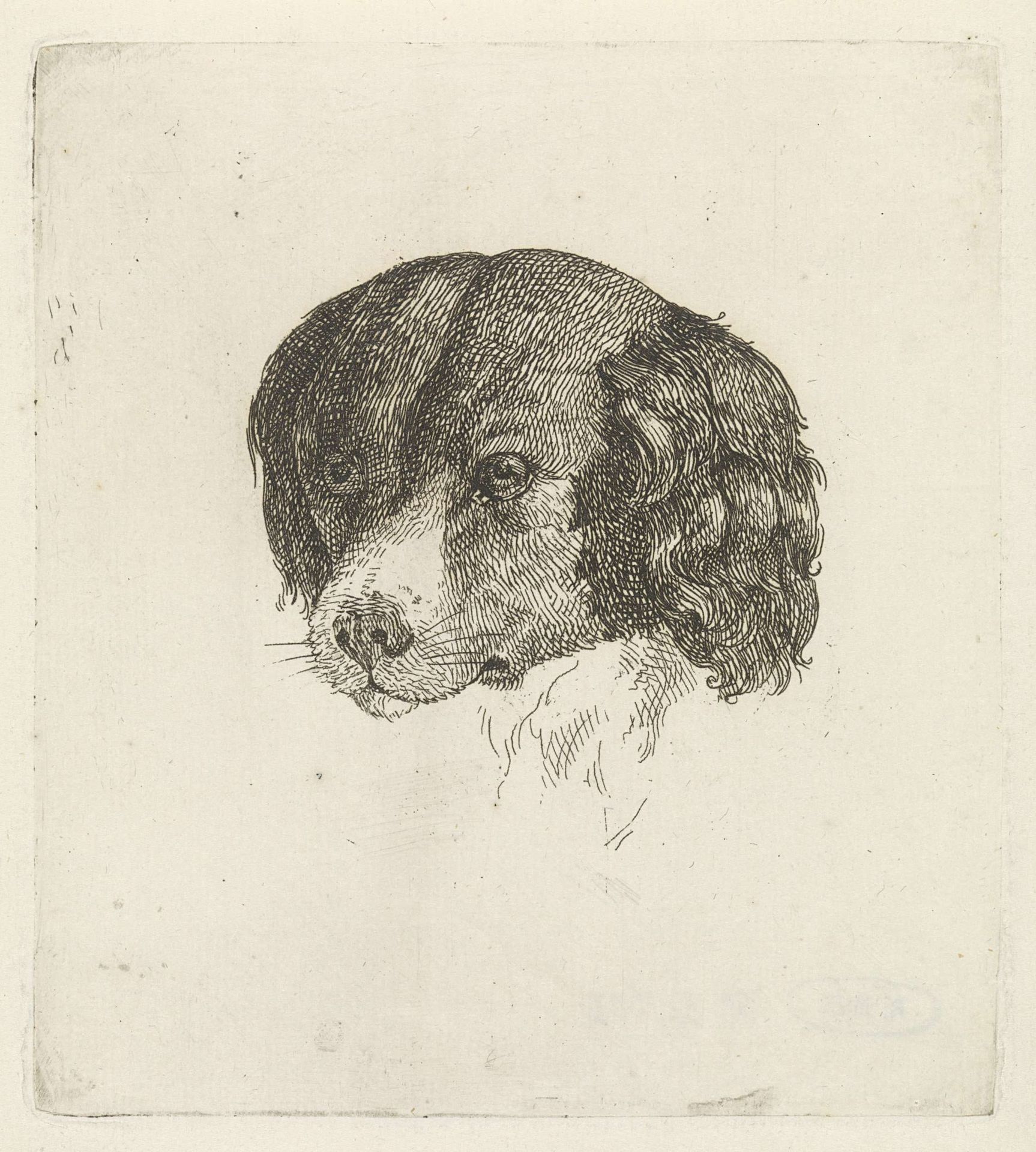 Kop van een hond by Johannes Christiaan d' Arnaud Gerkens