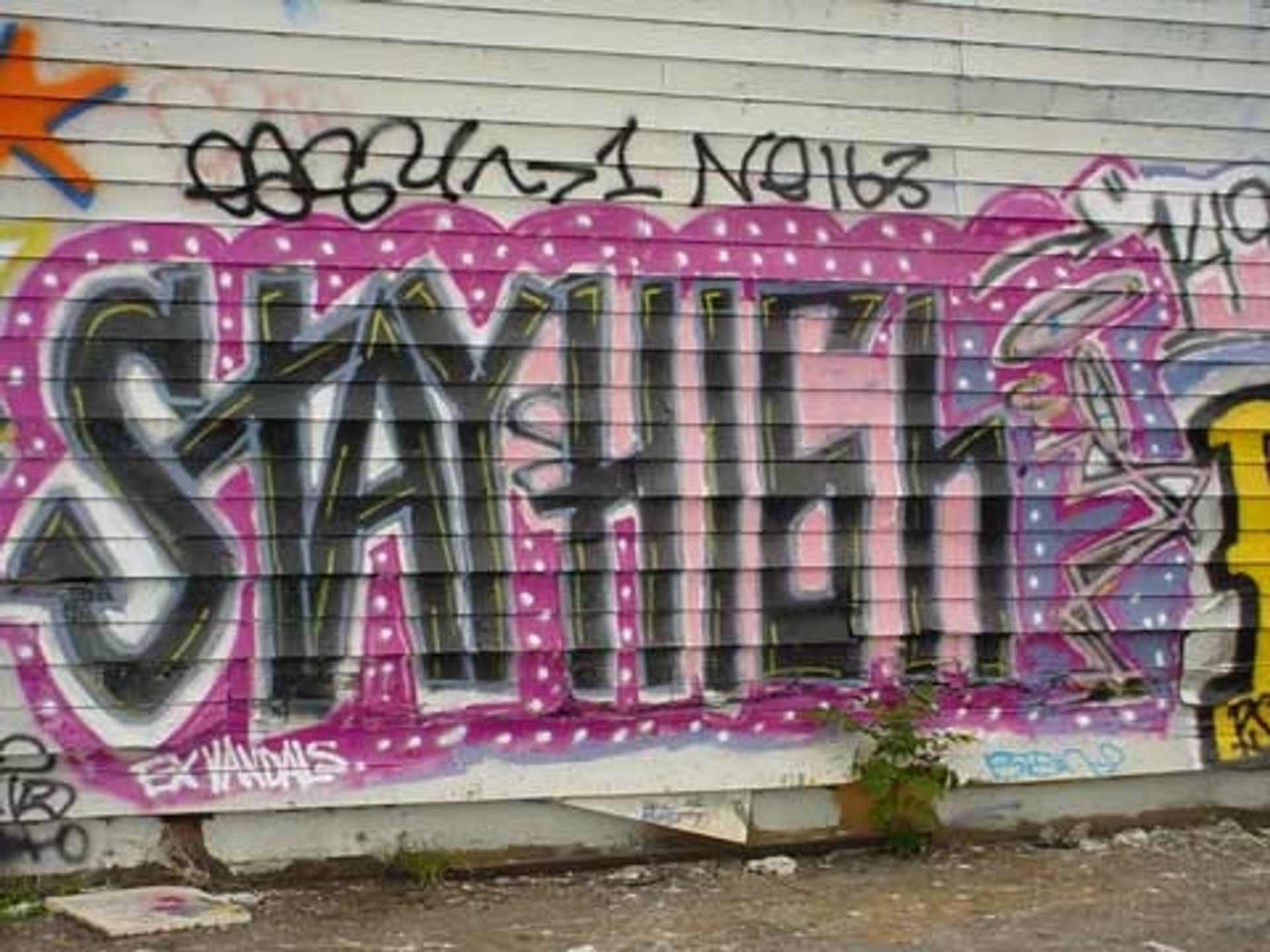 Piece by Stay High 149