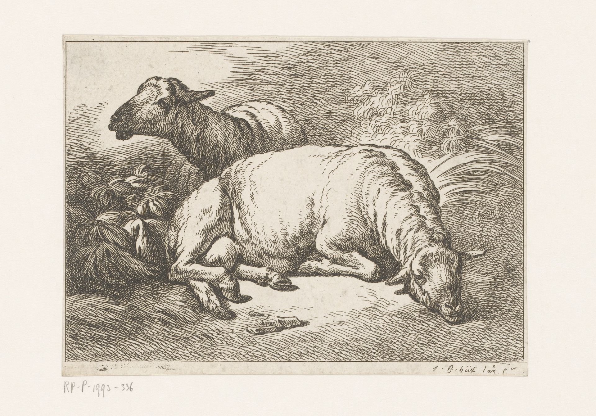 Twee schapen by Jean Baptiste (le vieux) Huet