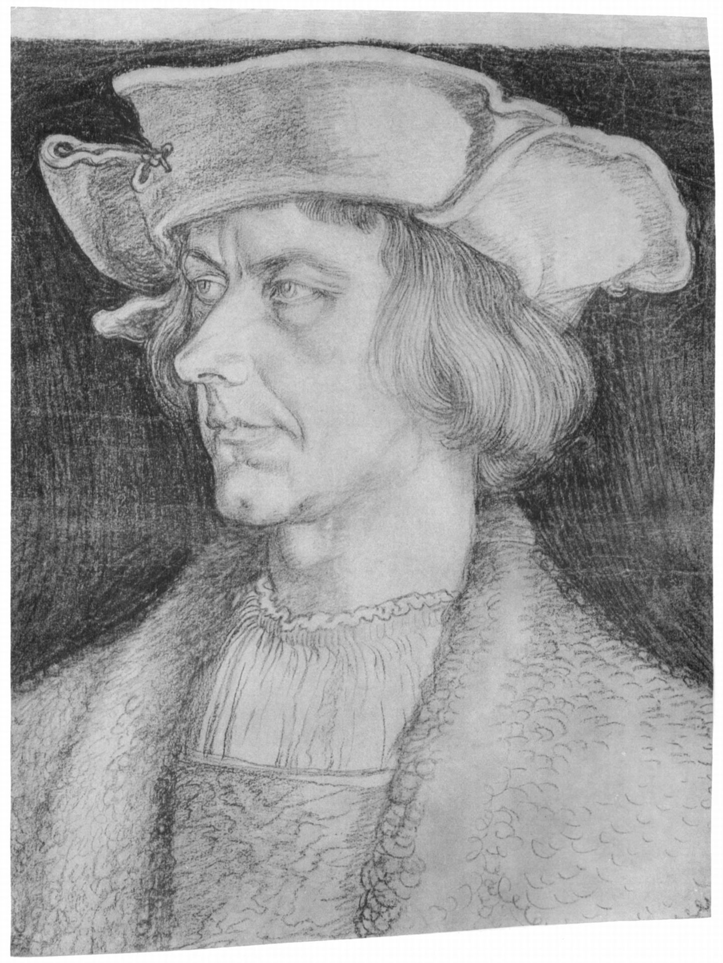 Portrait of a man (Paul Hofhaimer or Hans Tucher) by Albrecht Durer