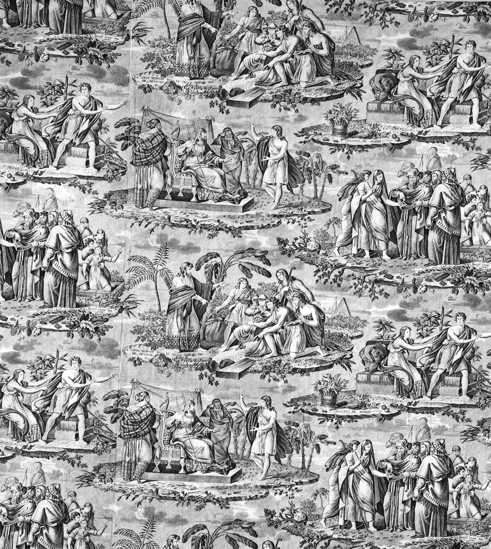 The Story of Joseph (Furnishing Fabric) by François Pieters