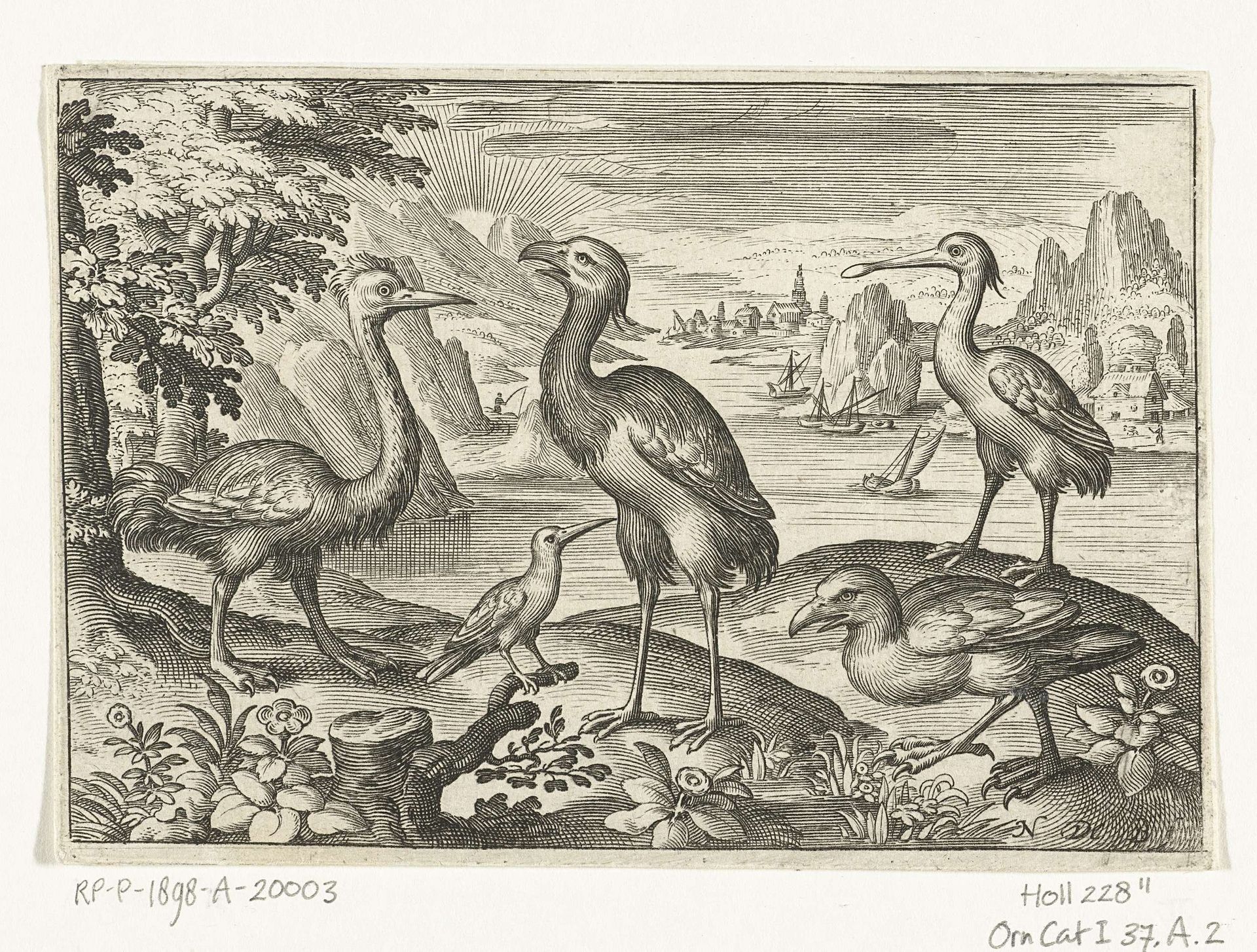 Vijf vogels waaronder lepelaar by Nicolaes de Bruyn