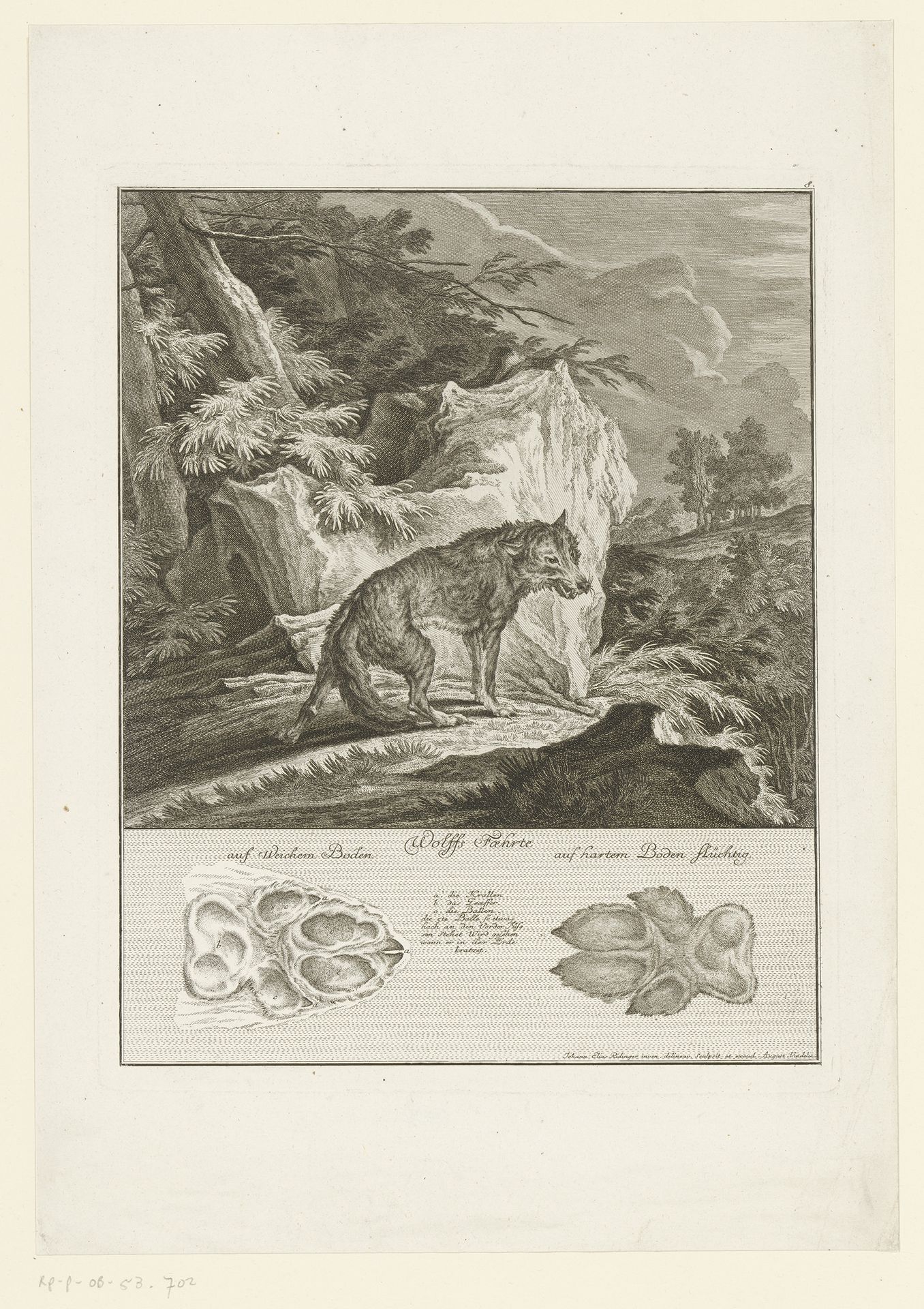 Wolf met spoor by Johann Elias Ridinger