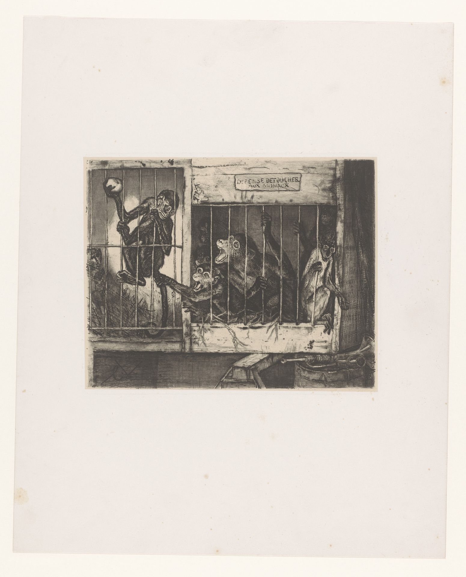 Kooi met apen by Charles Verlat