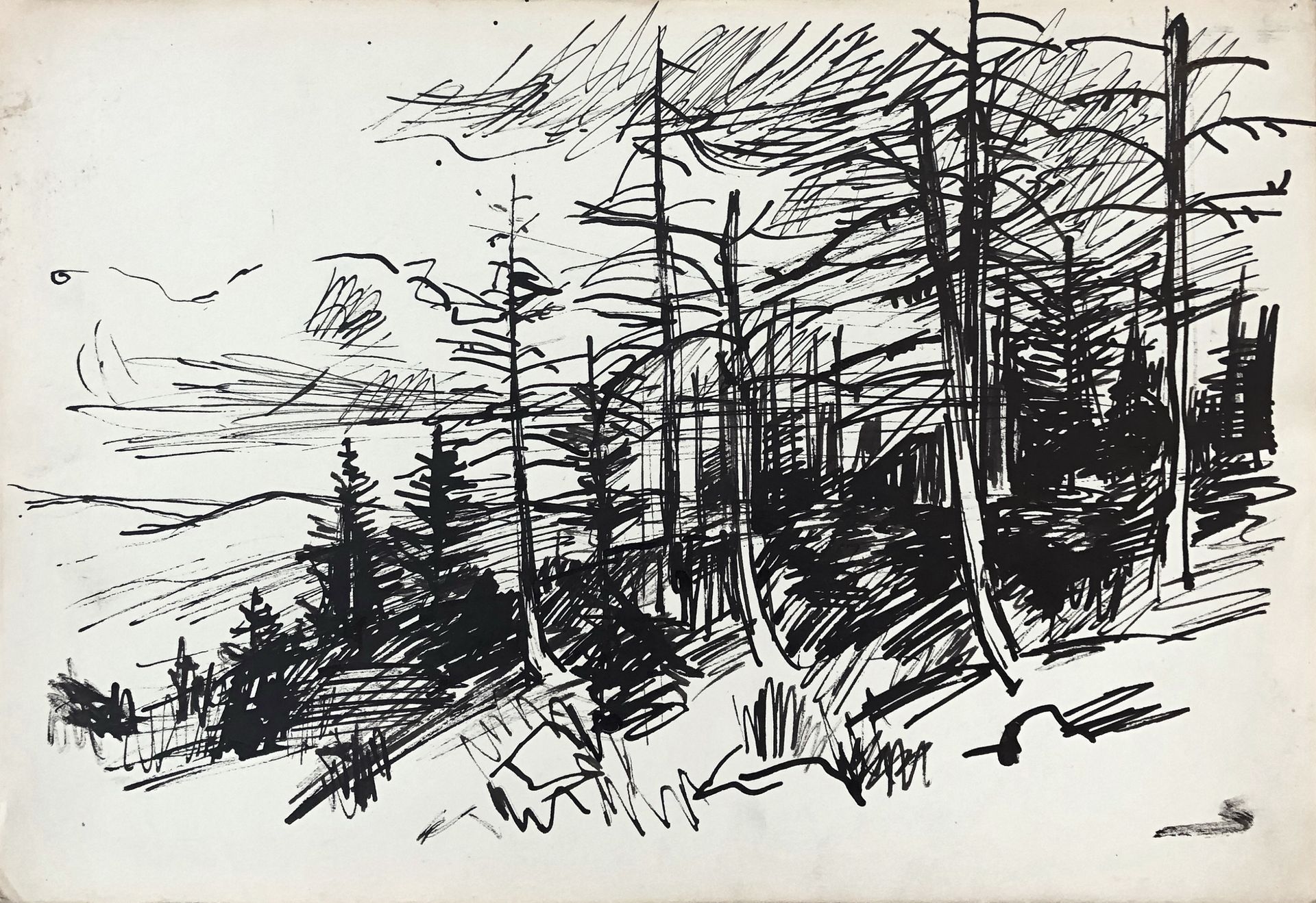 Forrest outskirt. Carpathians by Hryhorii Havrylenko