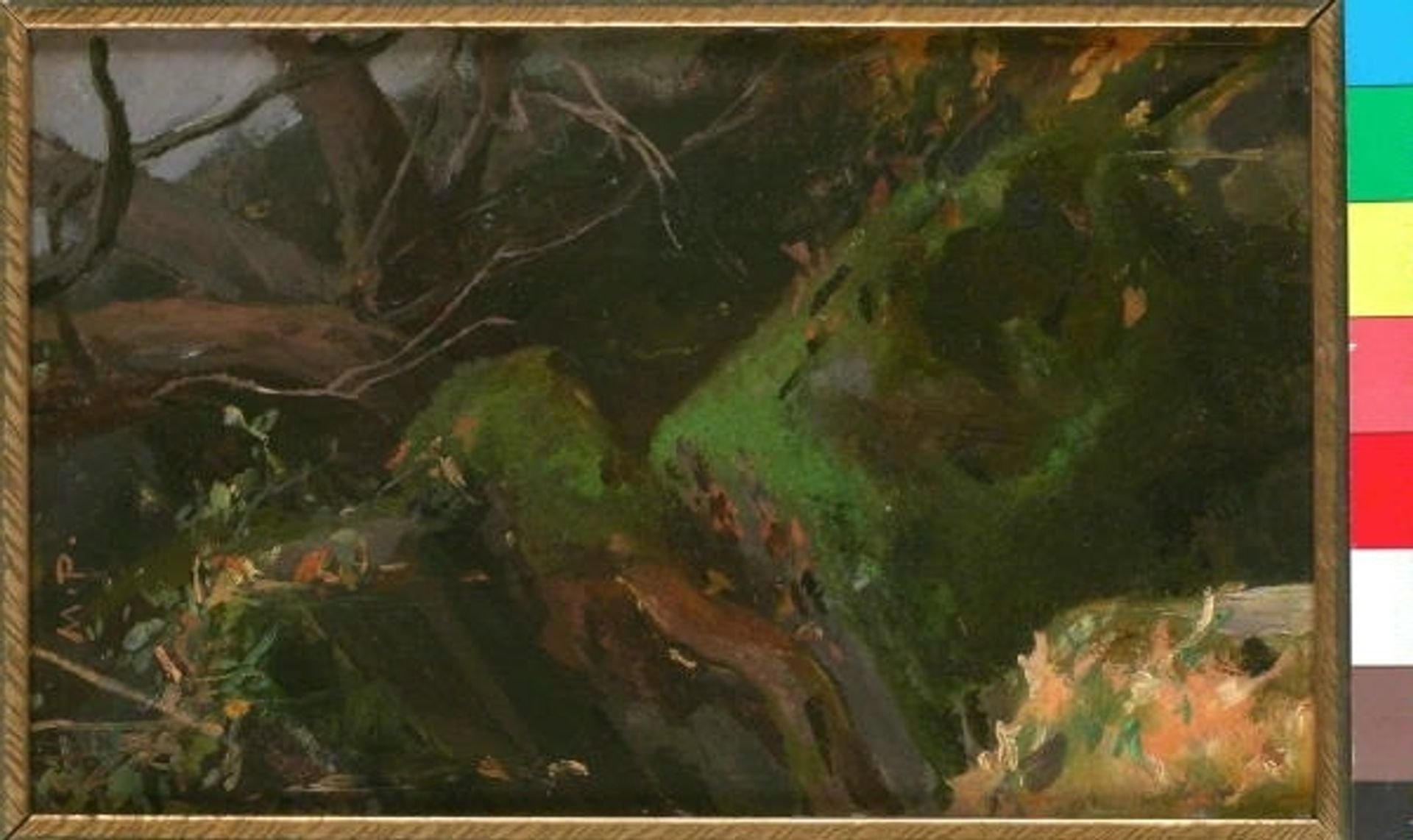 Lesní Zákoutí by Maximilian Pirner