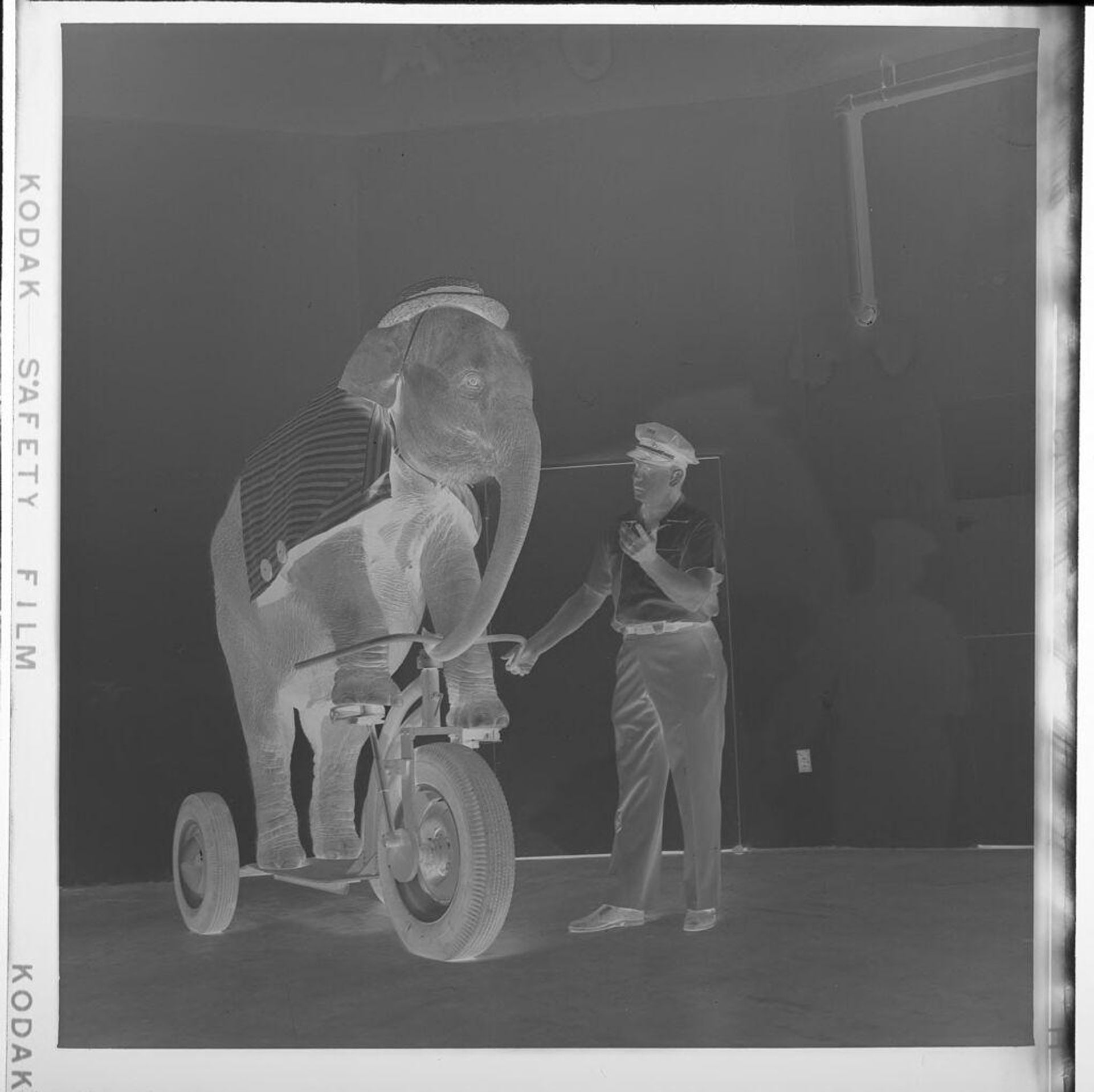 Untitled (man with elephant on tricycle) by Jack Gould