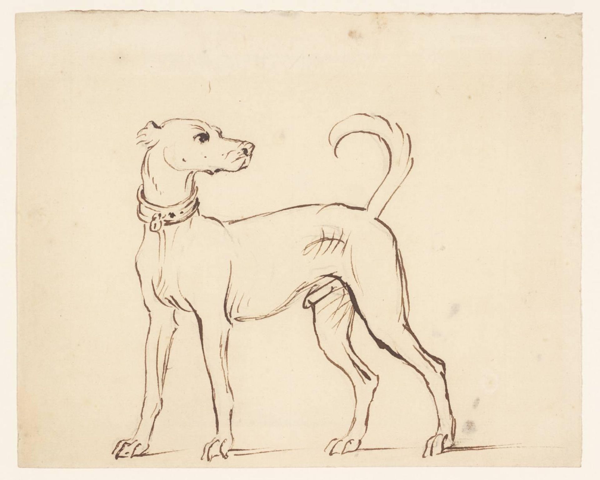 Study of Dog by James Seymour