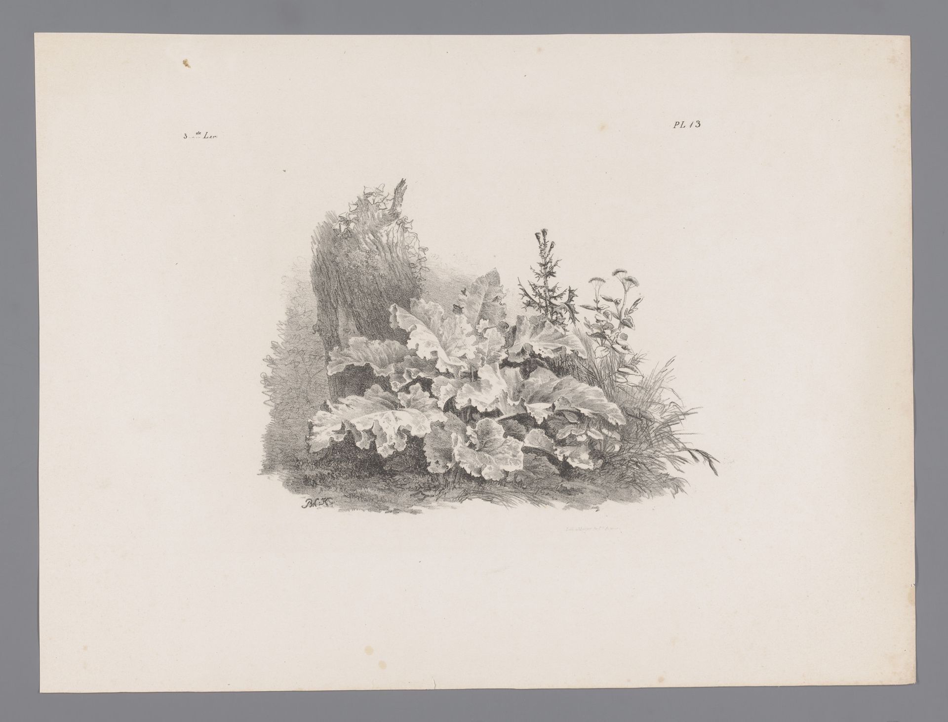 Planten bij een boom by Barend Cornelis Koekkoek
