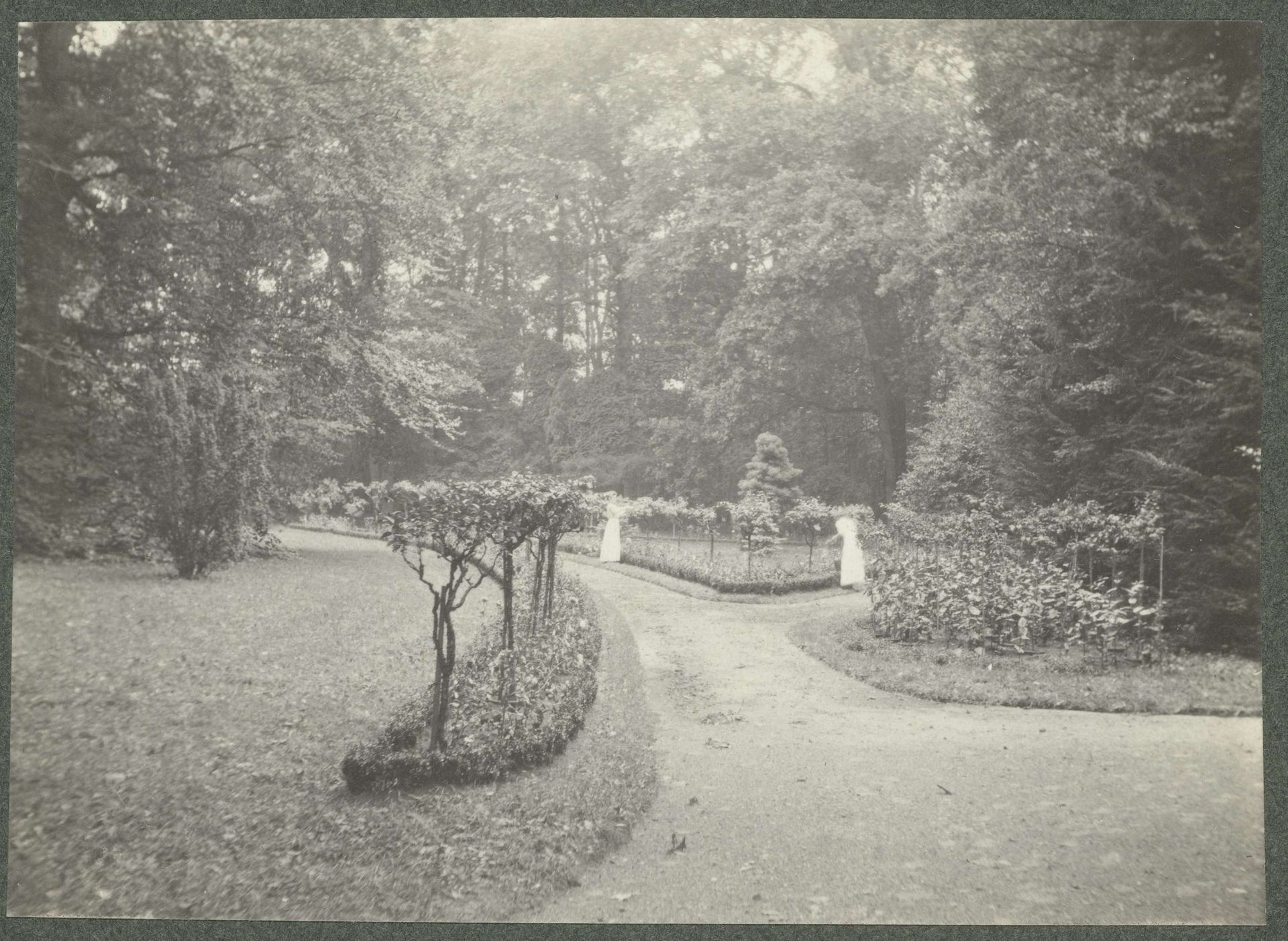 Tuinpad van Landgoed De Paauw met aan weerszijden beplanting in een bosrijke omgeving by Geldolph Adriaan Kessler
