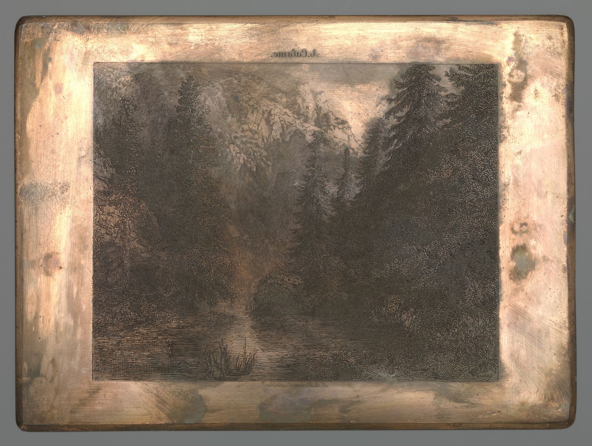 Bergrivier tussen bomen by Johannes Arnoldus Boland