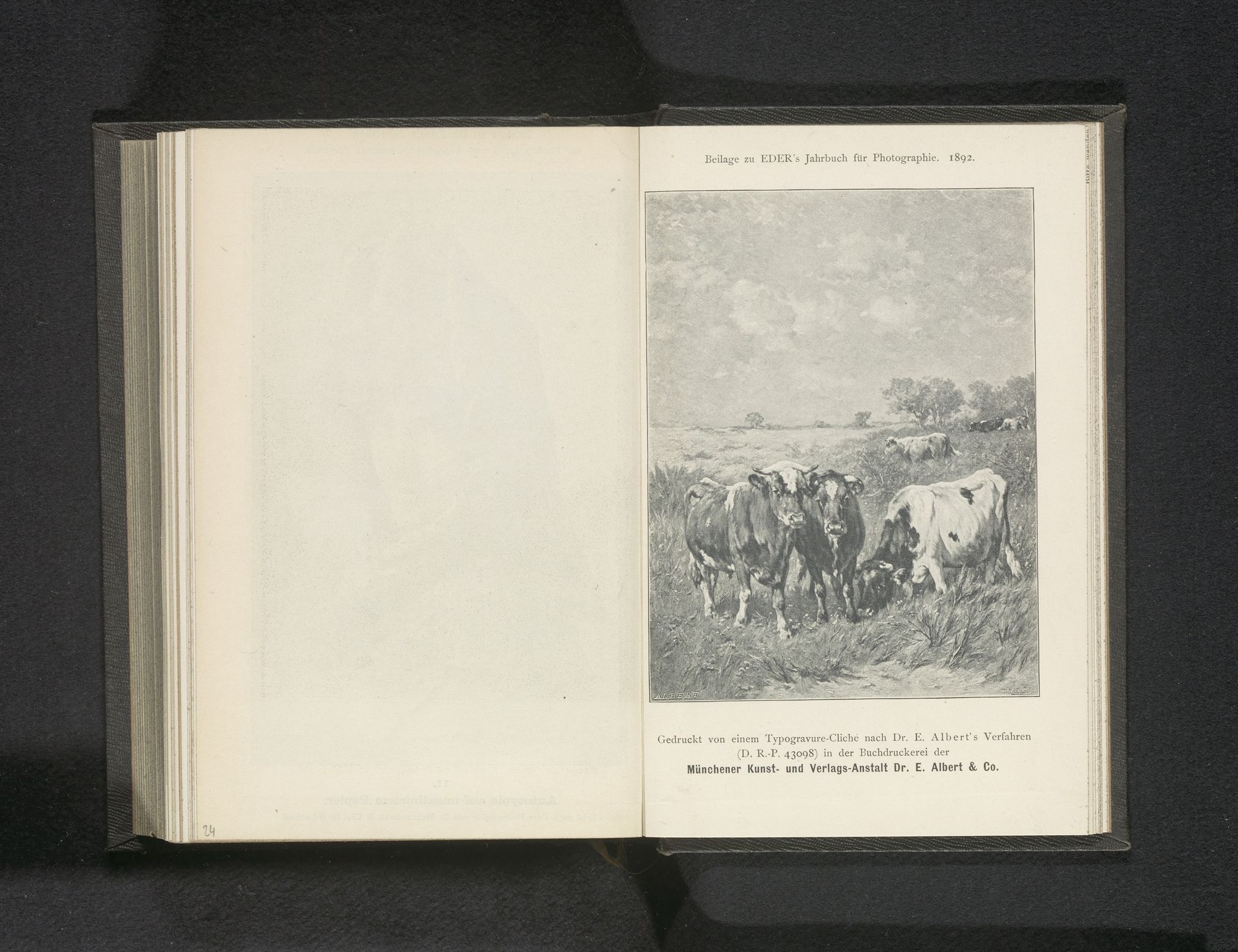 Reproductie van een ontwerp van koeien in de wei by E. Albert & Co.