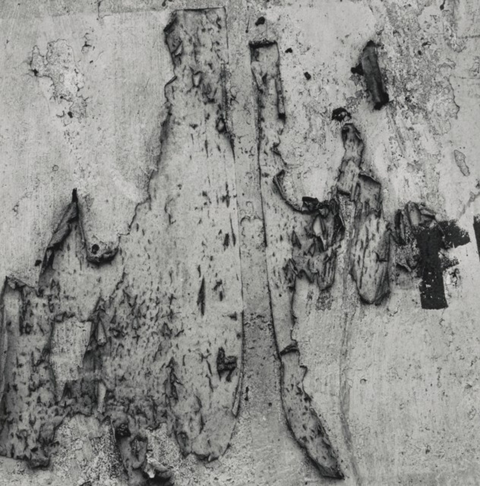 Iquitos 59 by Aaron Siskind