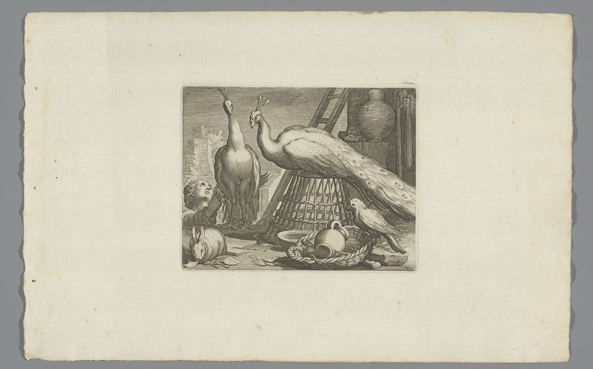Pauwen, konijn en papegaai by Boëtius Adamsz. Bolswert