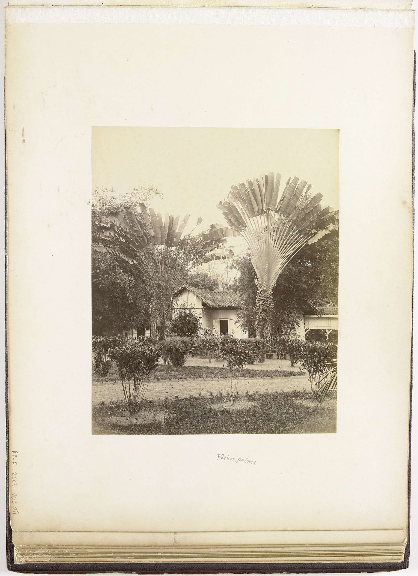 Gezicht op huis met tuin en palmbomen,  Langkat Sumatra by Heinrich Ernst & Co