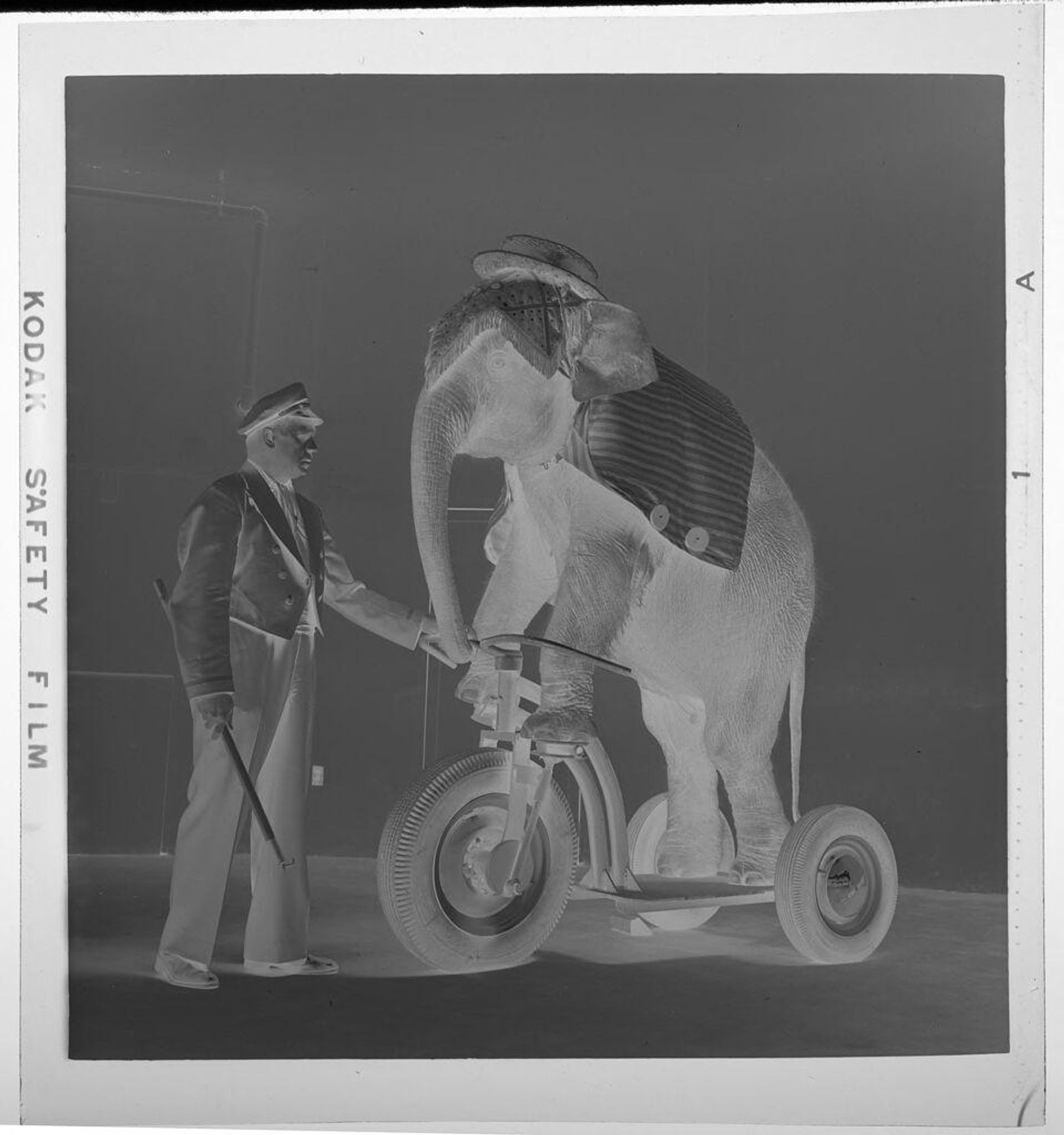 Untitled (man with elephant standing on tricycle) by Jack Gould