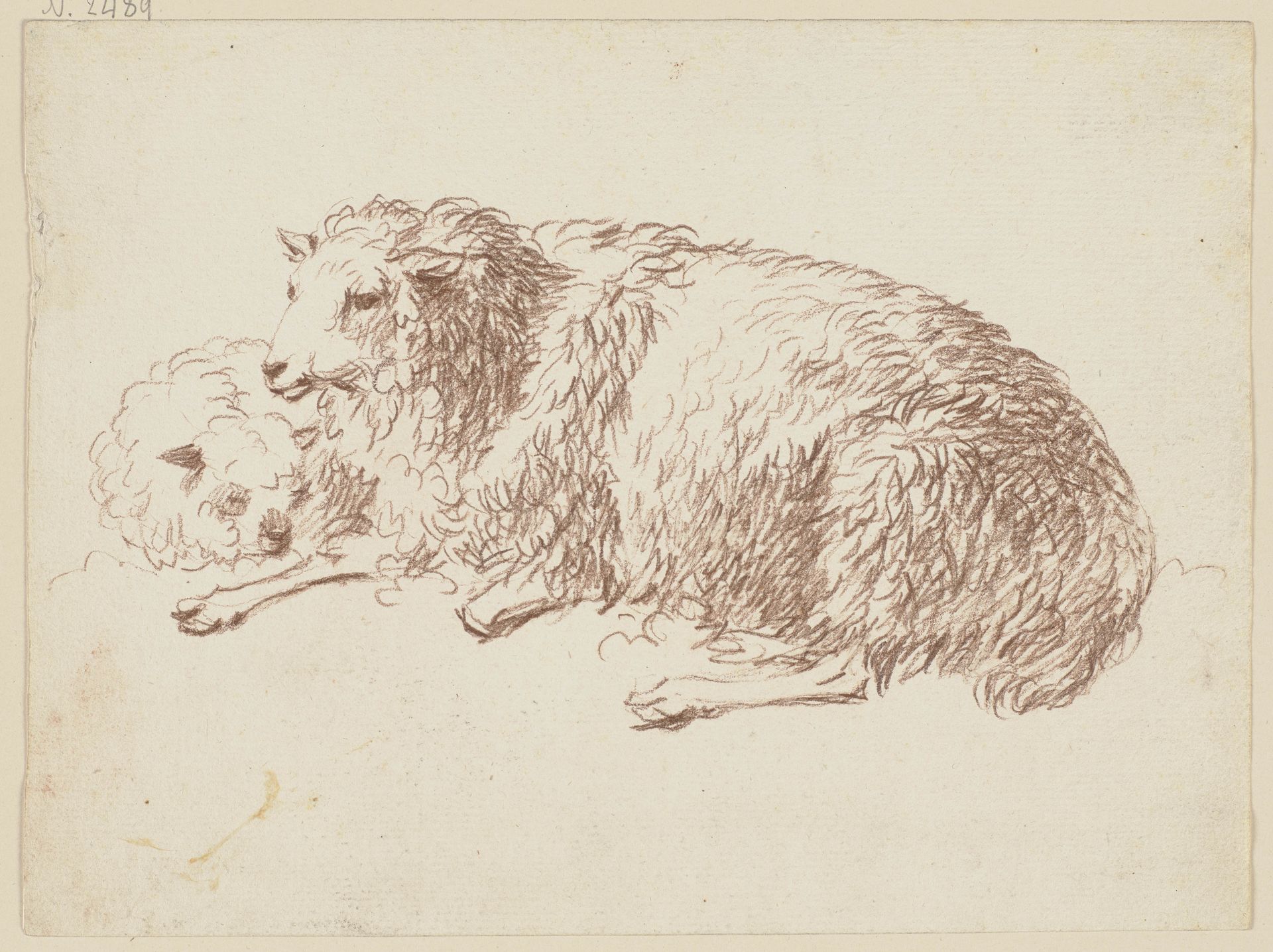Two lying sheep by Friedrich Wilhelm Hirt