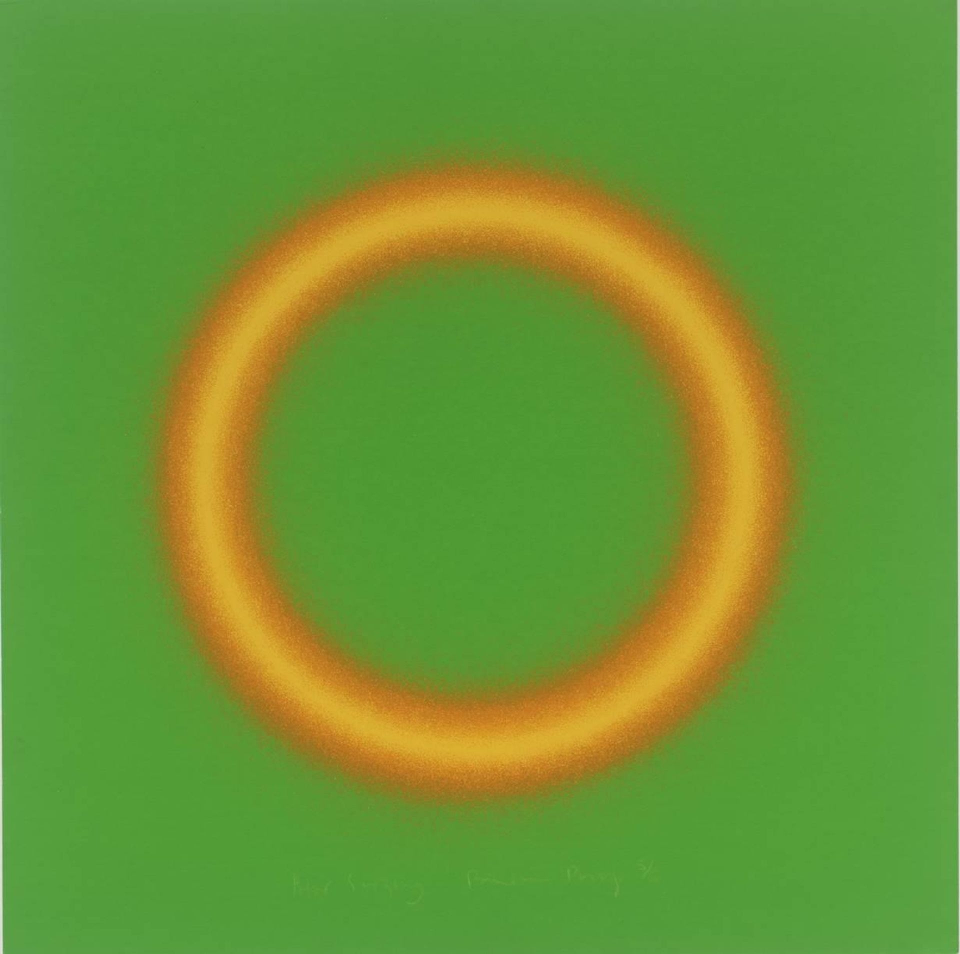 Looking Glass No. 4 by  Peter Sedgley