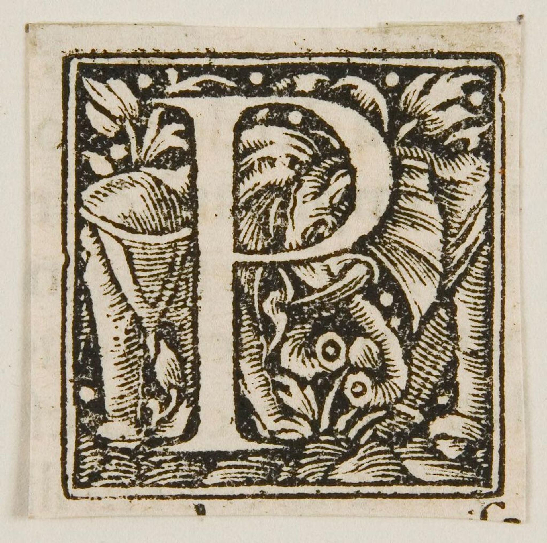 Letter P by Anonymous
