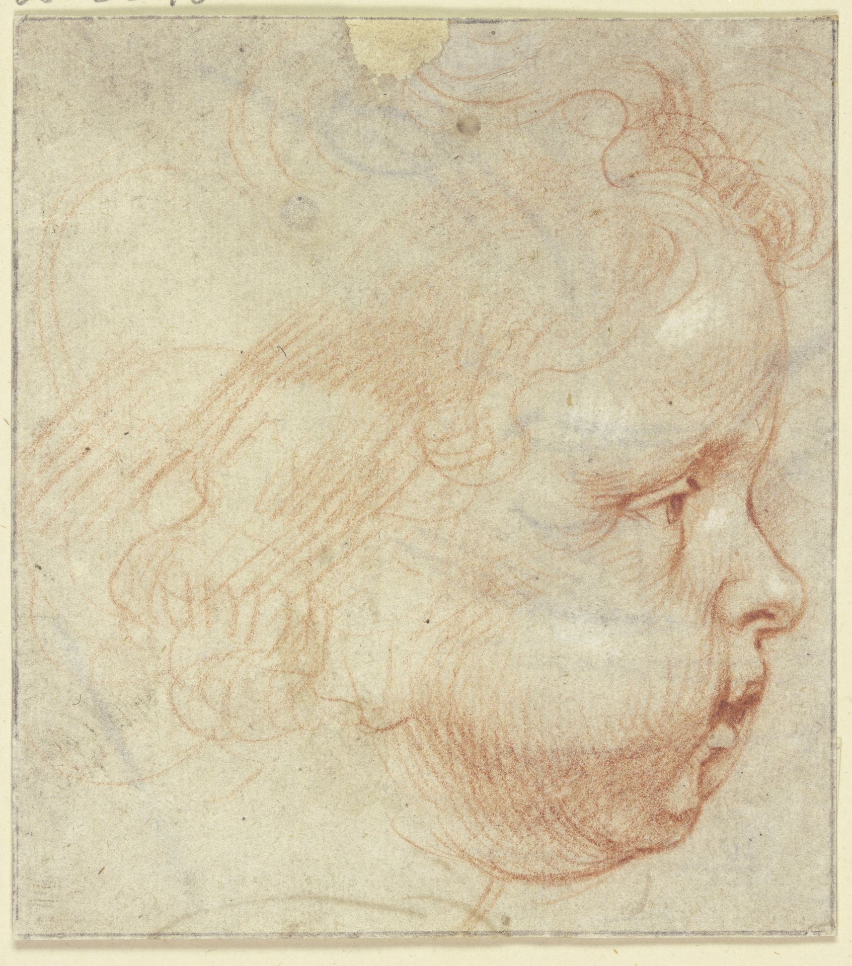 Kinderkopf im Profil nach rechts by Peter Paul Rubens