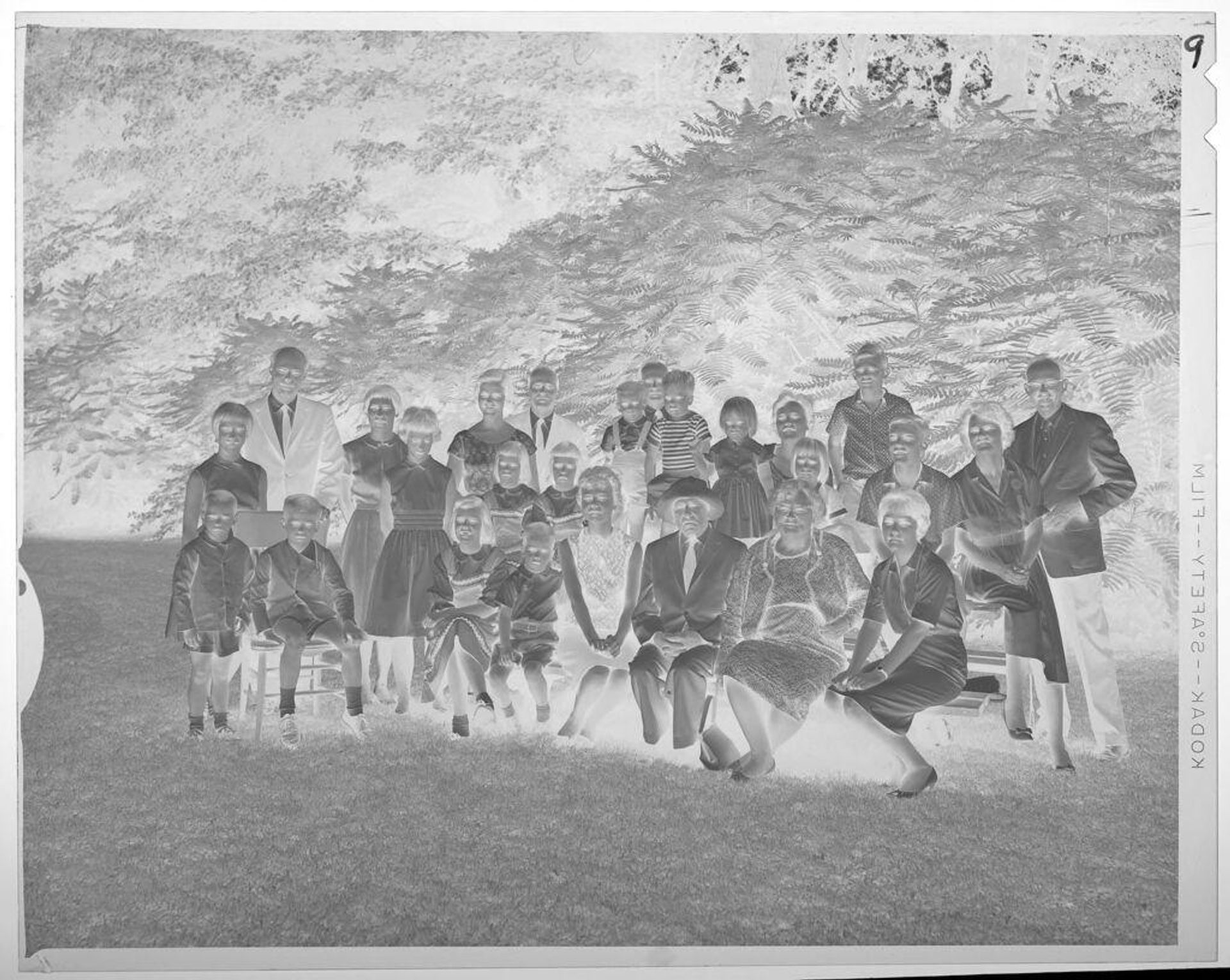 Untitled (large family portrait, outside) by Lucian and Mary Brown