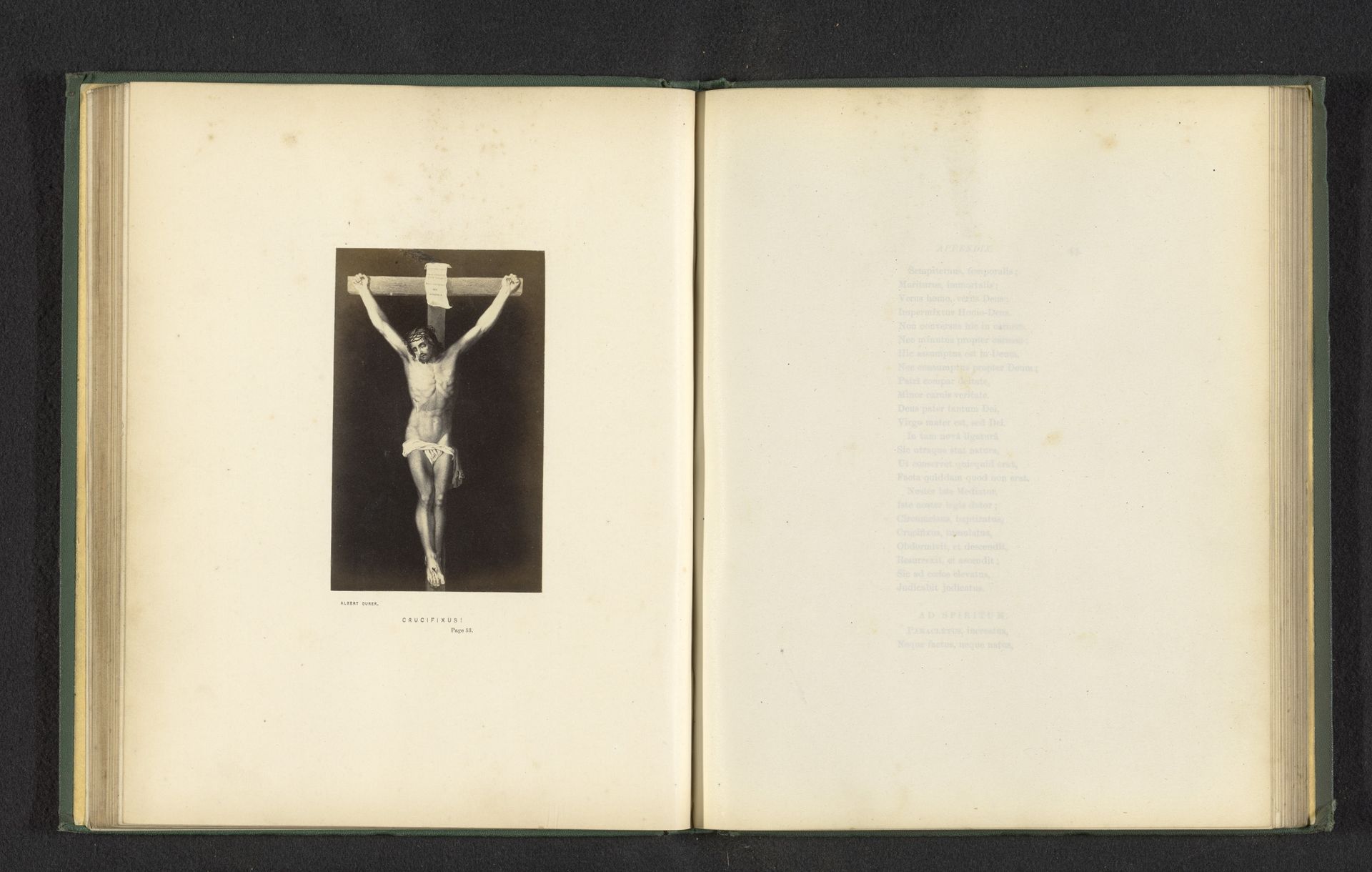 Crucifixus by Anonymous