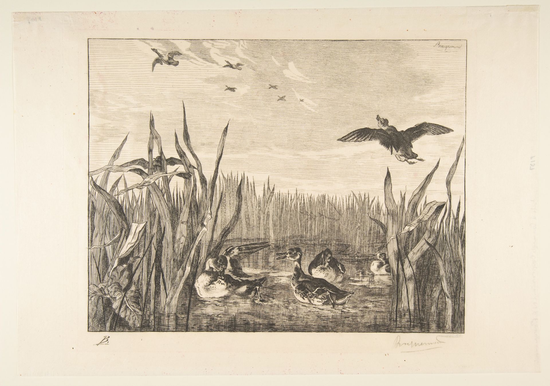 Sarcelles by Félix Bracquemond