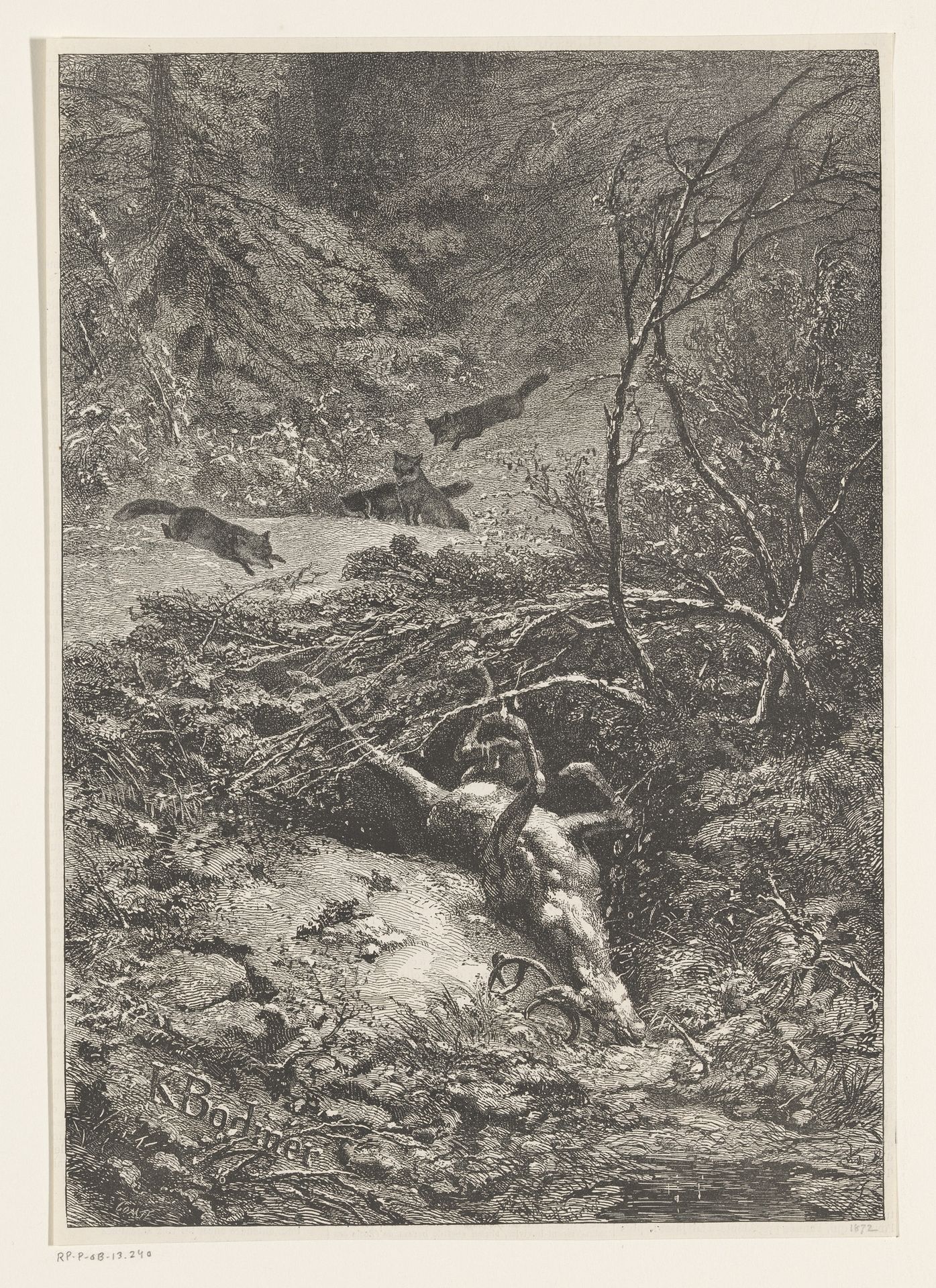 Bosgezicht met een dood hert, vossen in de achtergrond by Karl Bodmer