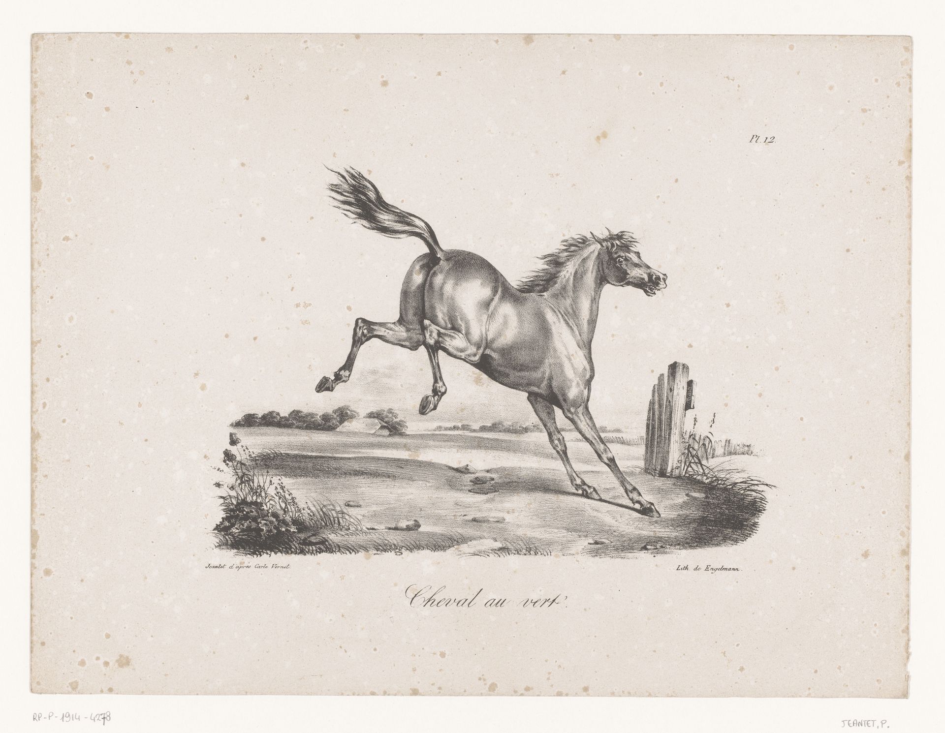 Achteruitslaand paard in een weiland by Pierre Jeantet