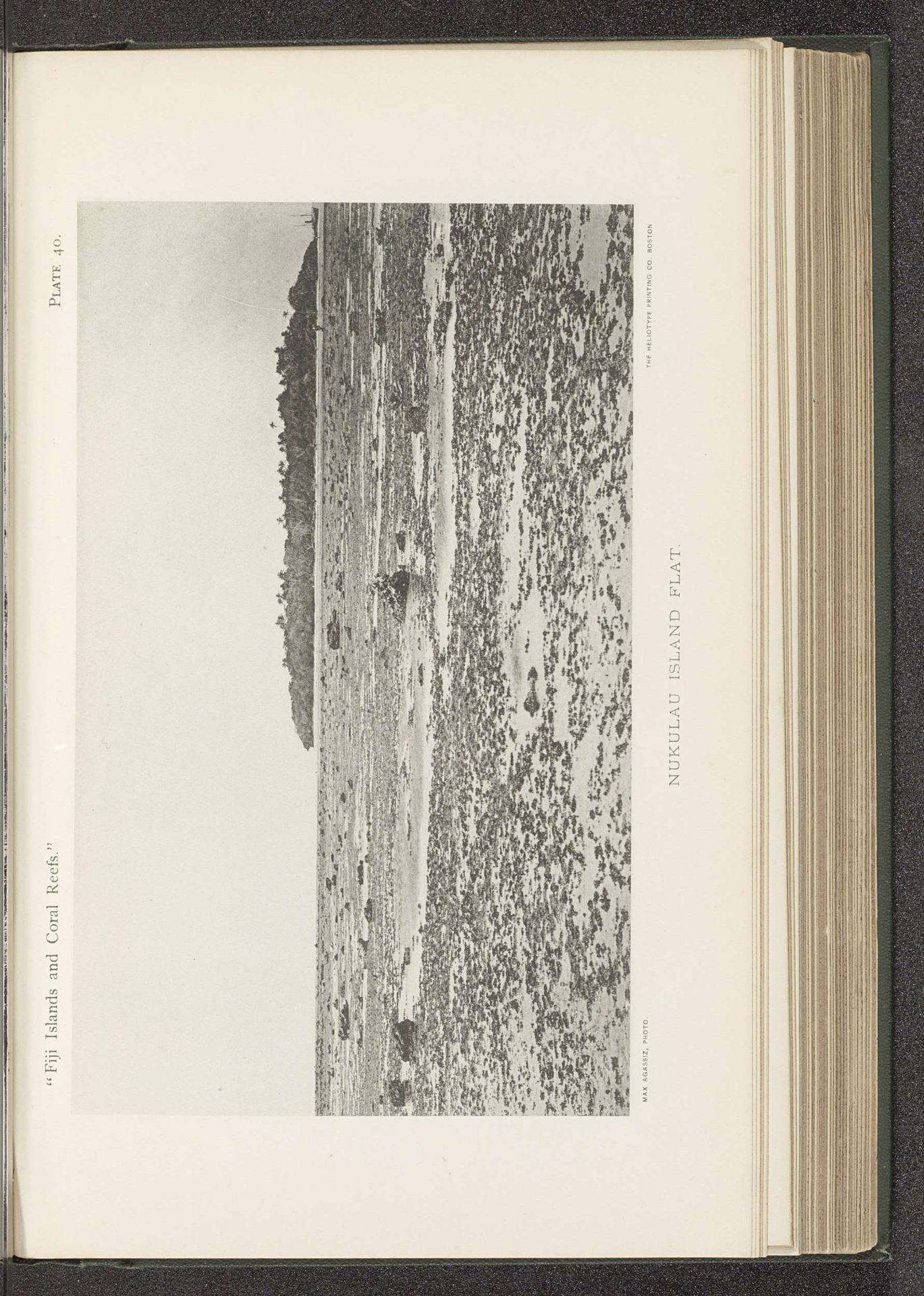 Gezicht op een koraalrif voor de kust van Nukulau by Maximilian Agassiz