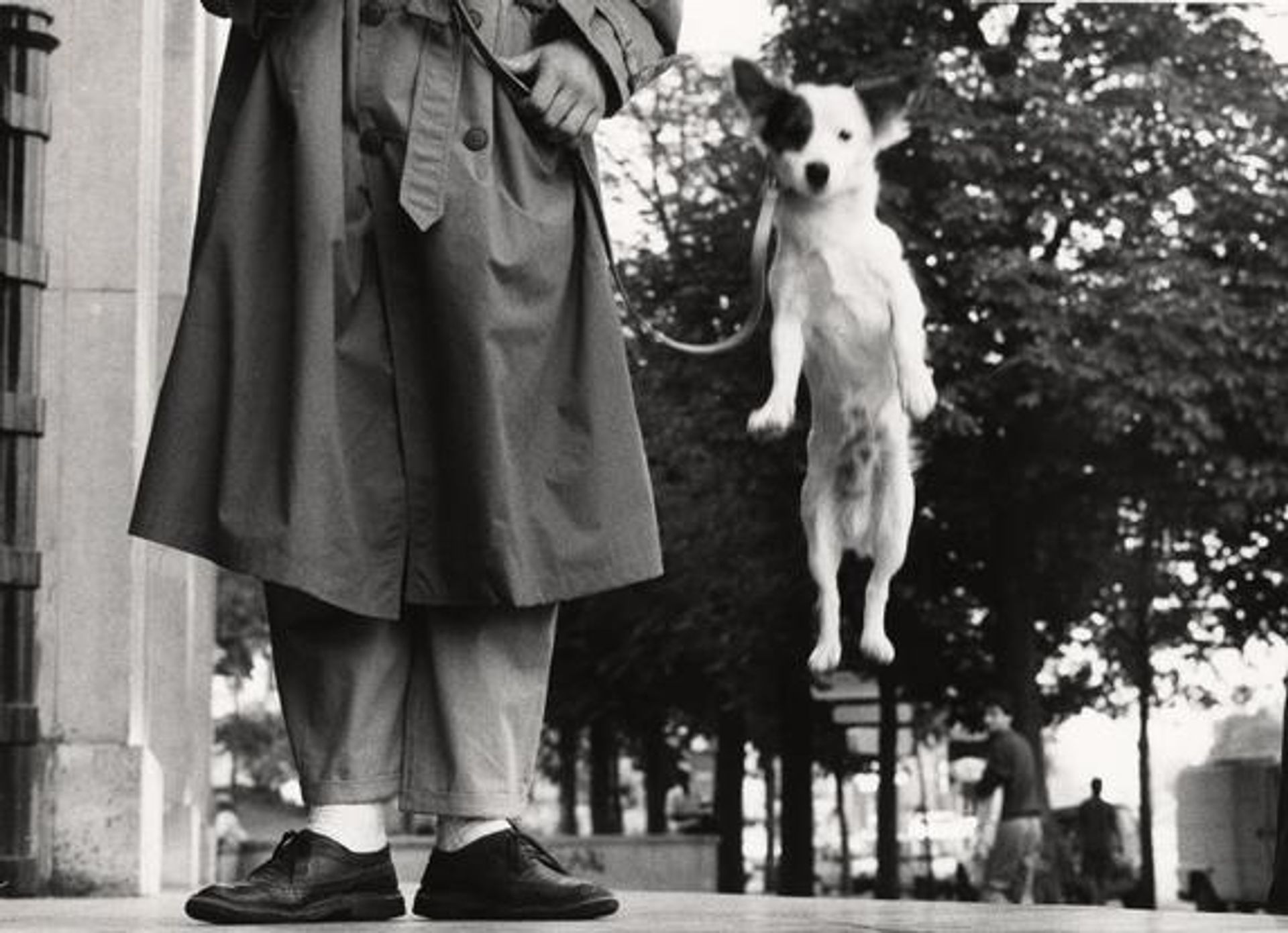Paris by Elliott Erwitt