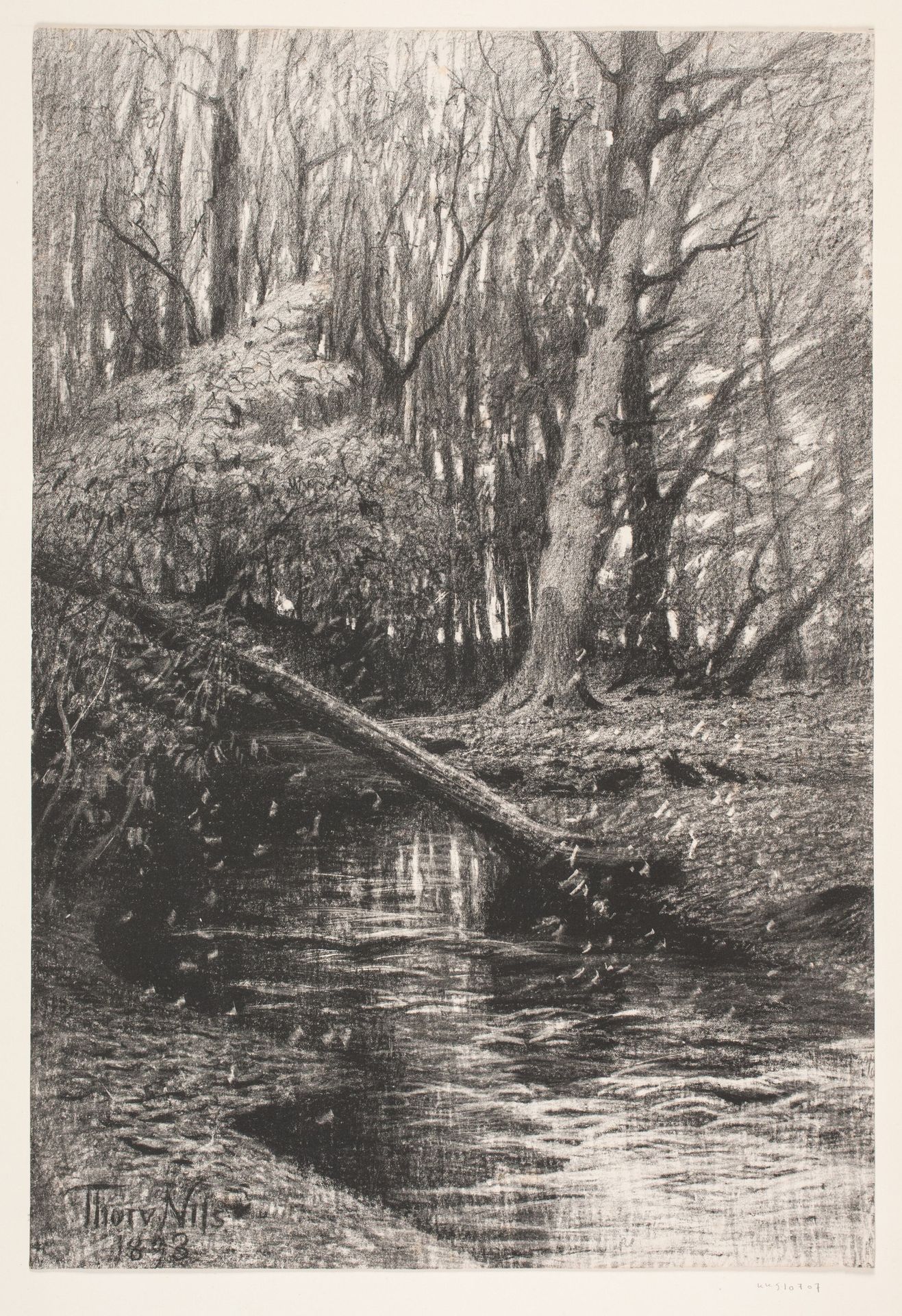 Skovlandskab med en å by Thorvald Niss