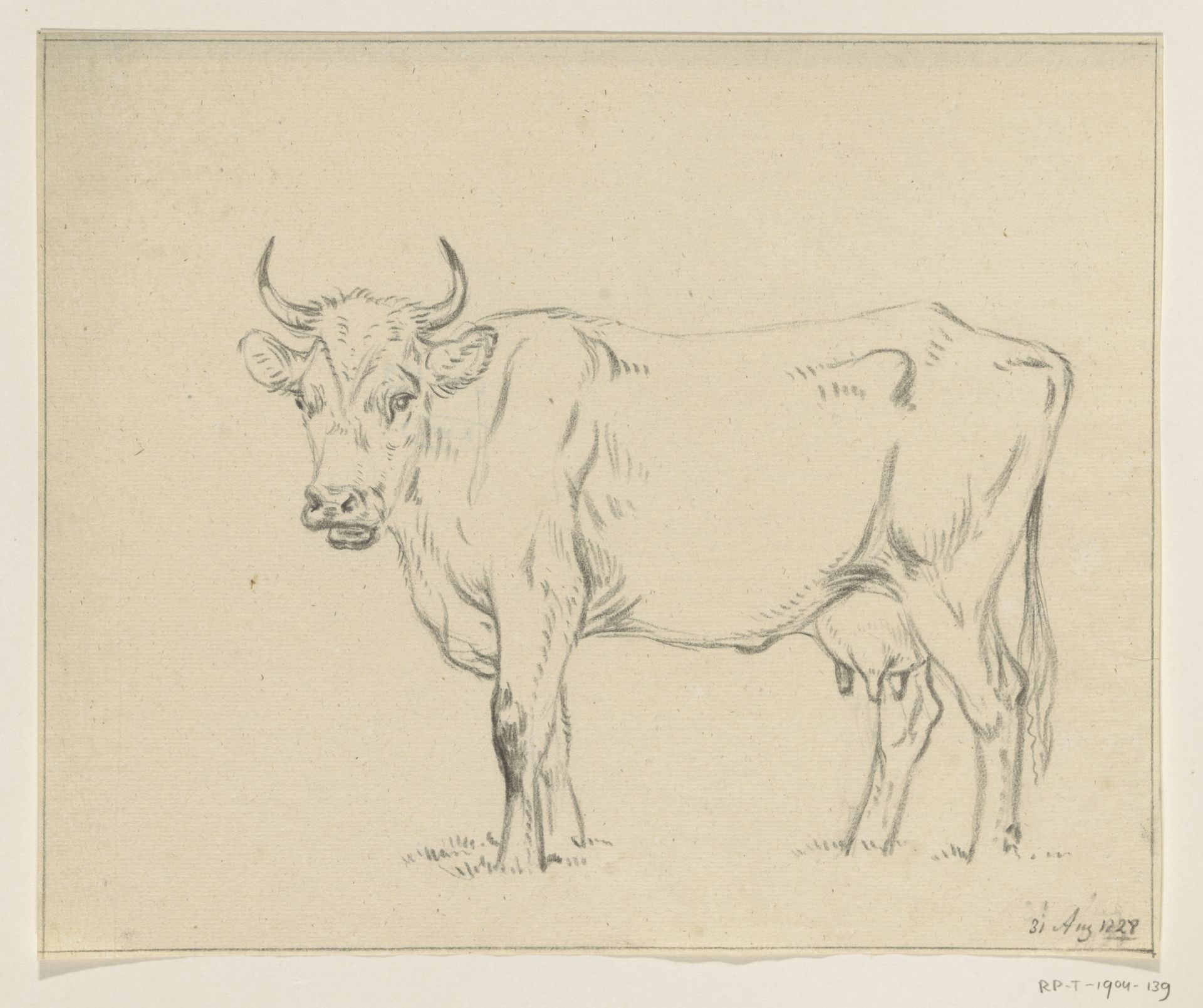 Staande koe, naar links by Jean Bernard