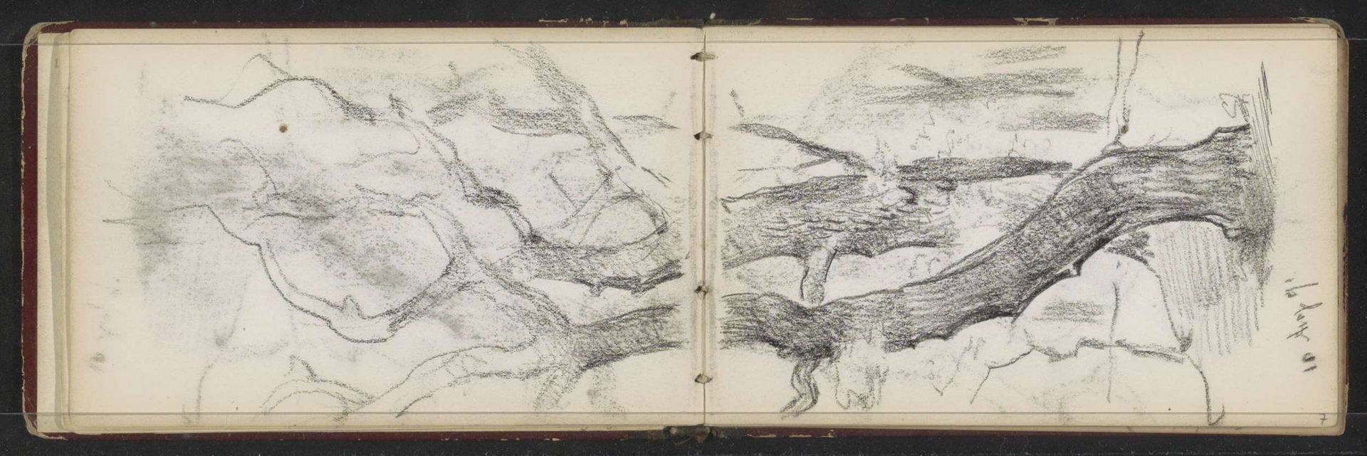 Bomen by Willem Cornelis Rip
