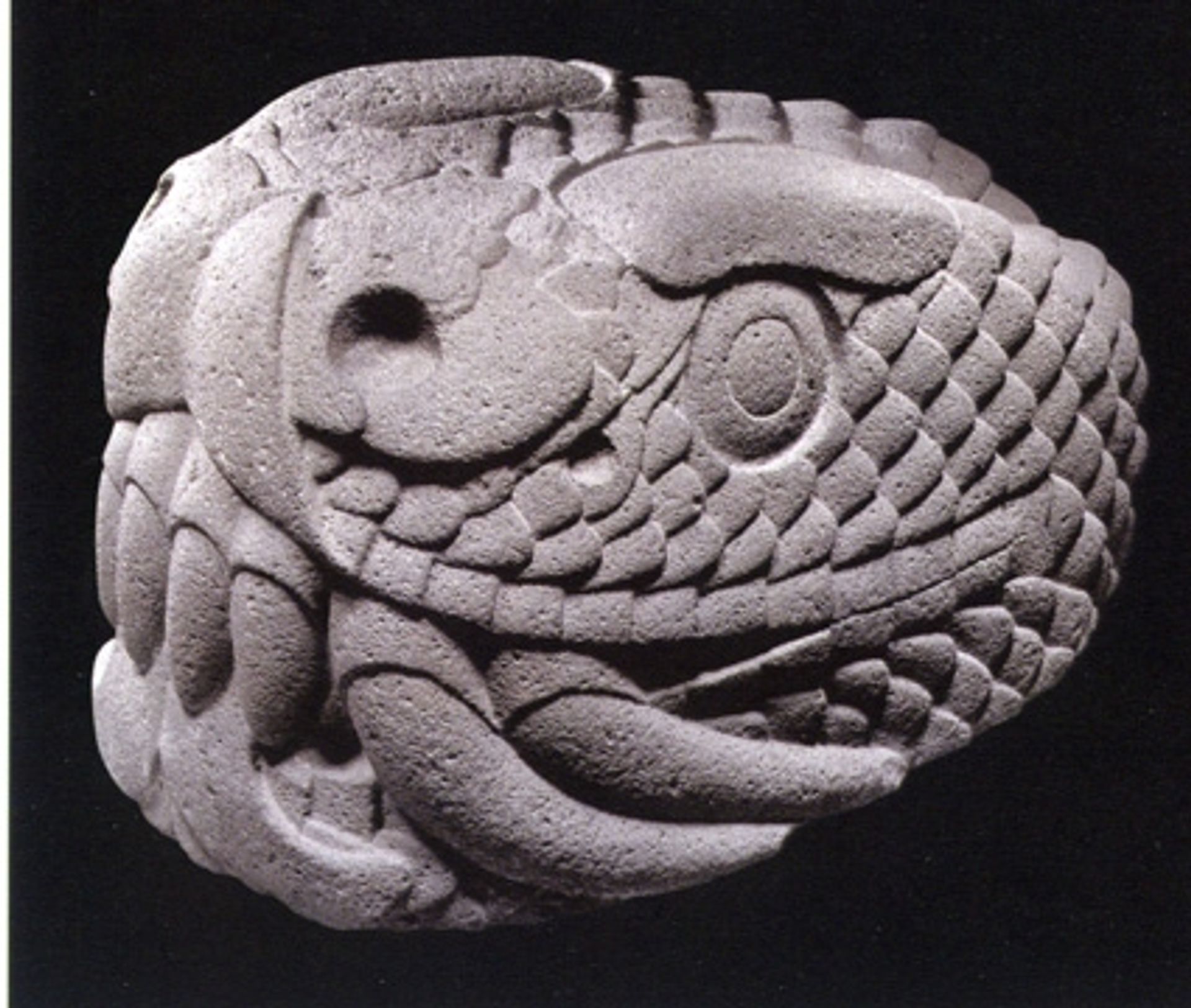 Serpent Head by Aztec Art