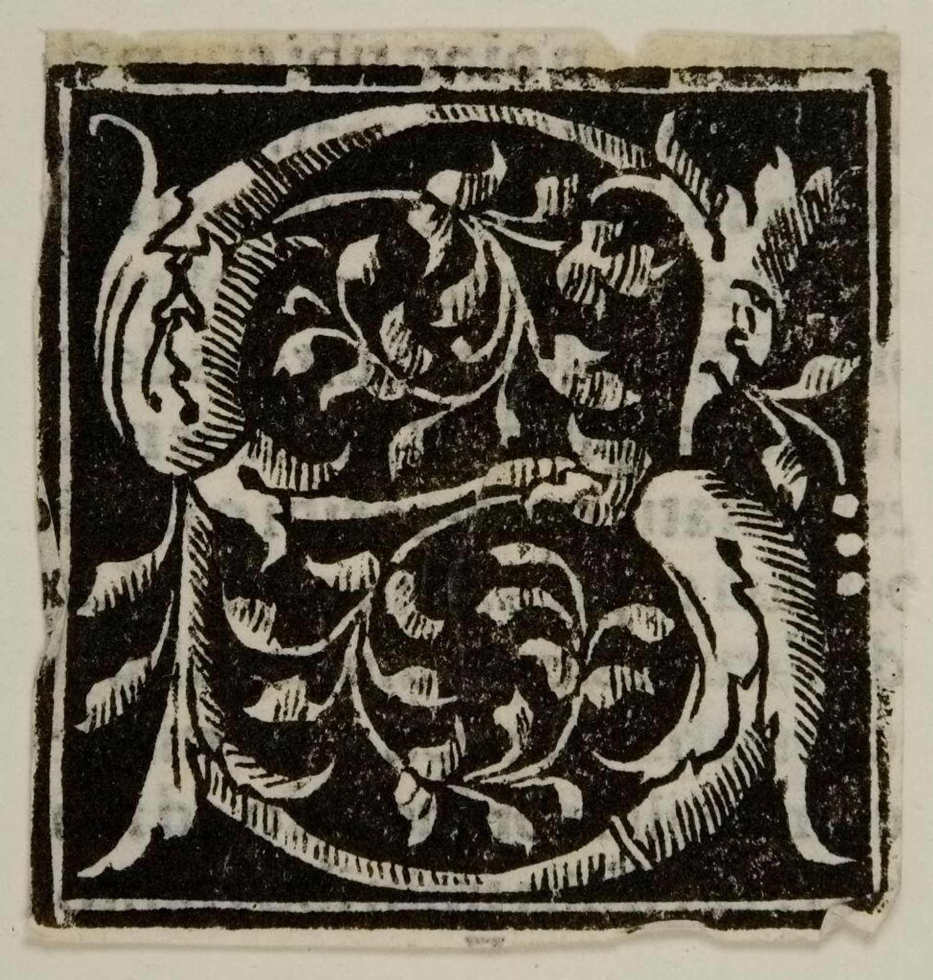 Letter S Used by Joannes Rubeus, Vercellensis by Anonymous