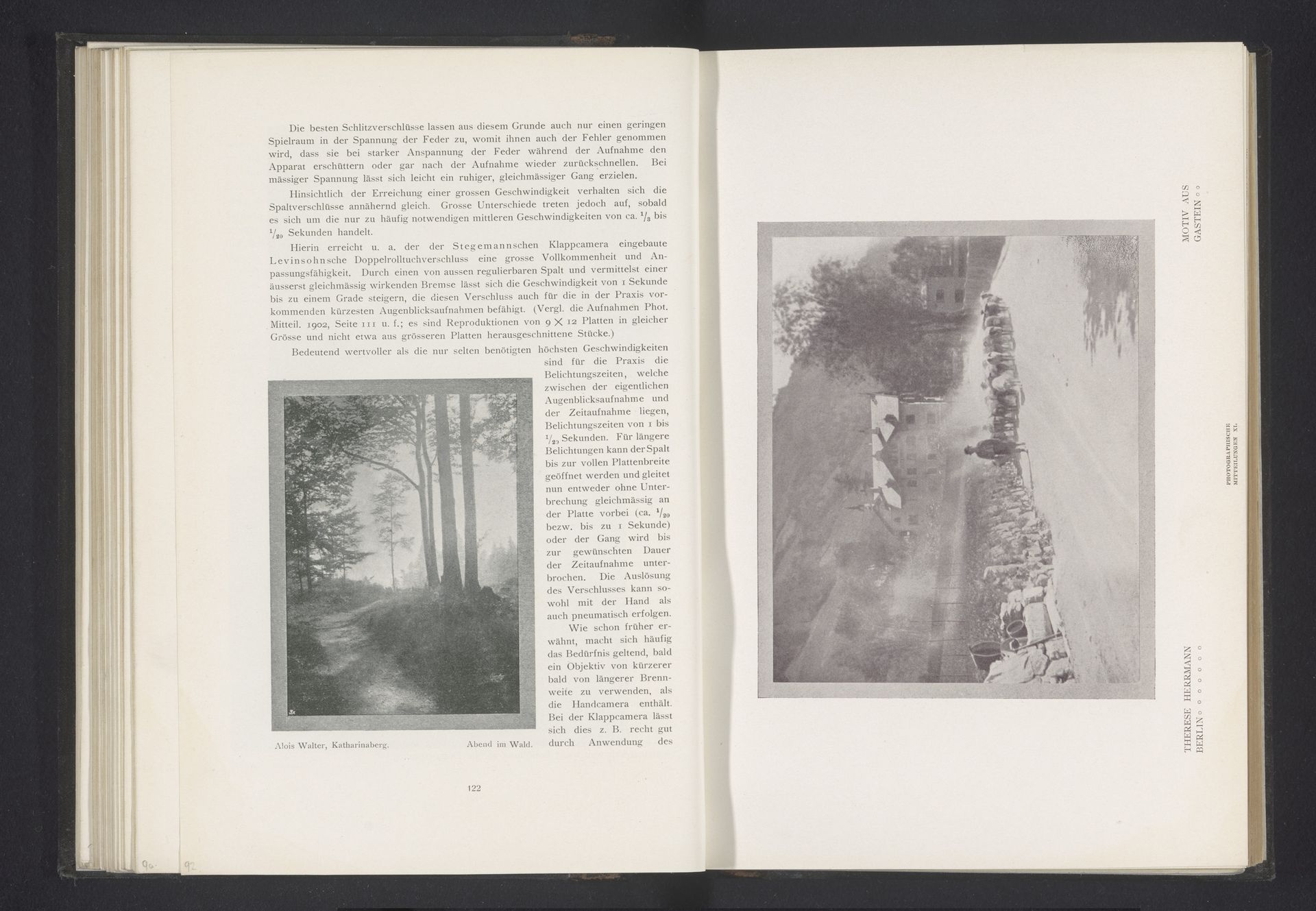 Gezicht op Gastein met een schapenherder by Therese Herrmann