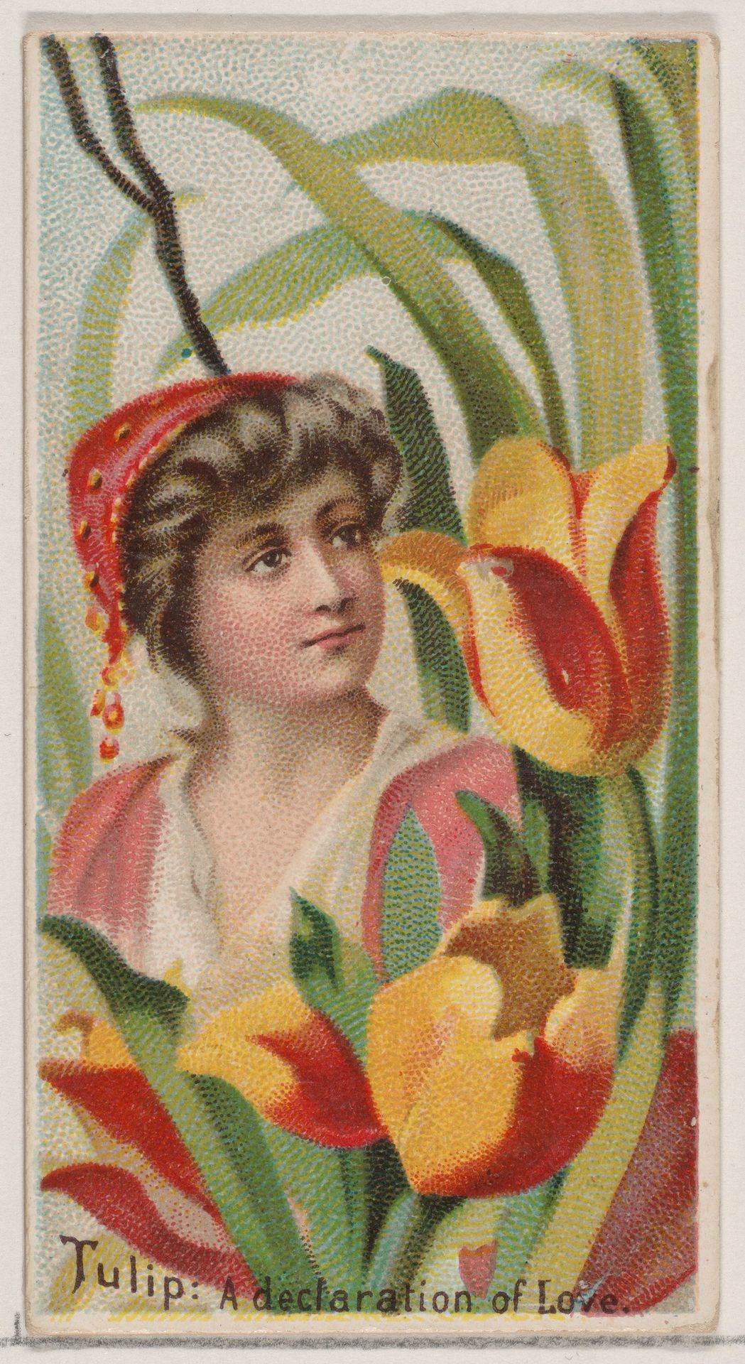 Tulip: A Declaration of Love, from the series Floral Beauties and Language of Flowers (N75) for Duke brand cigarettes by American Tobacco Company