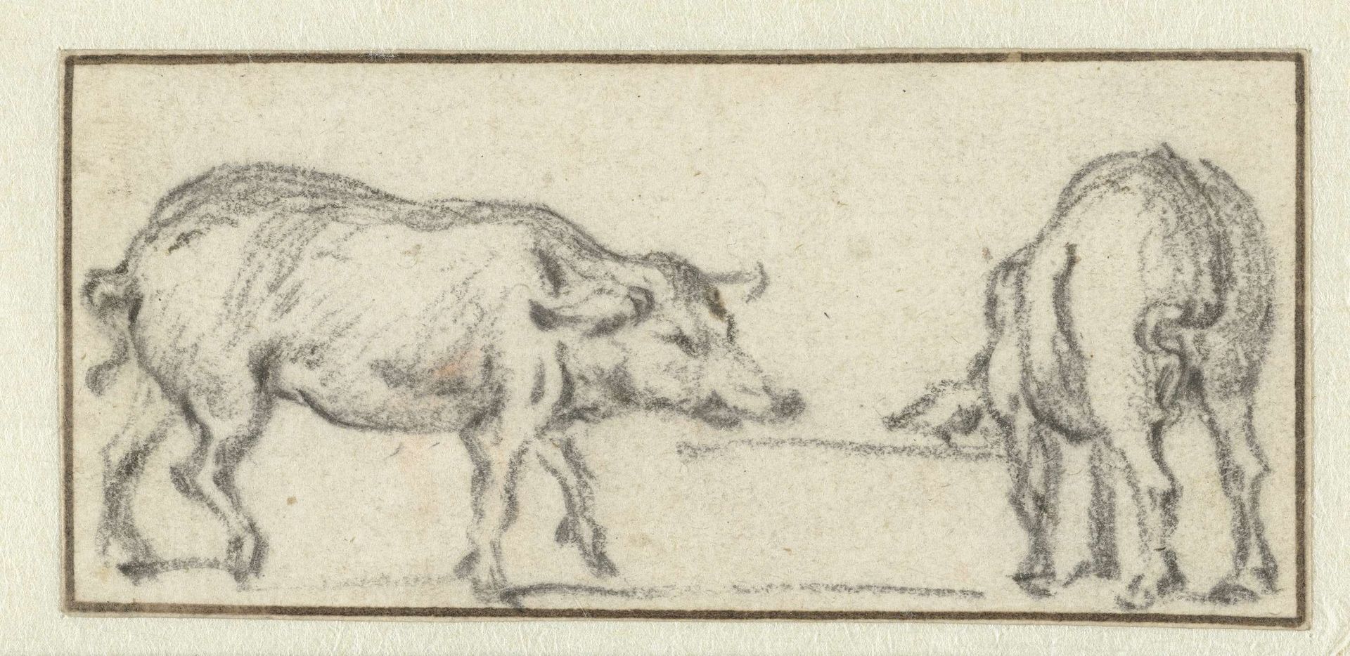 Twee varkens by Karel du Jardin