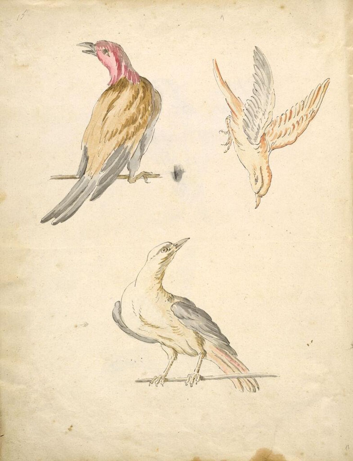 Folio recto: Blank; verso: Two Perched Birds and One in Flight by Jean-Baptiste Oudry