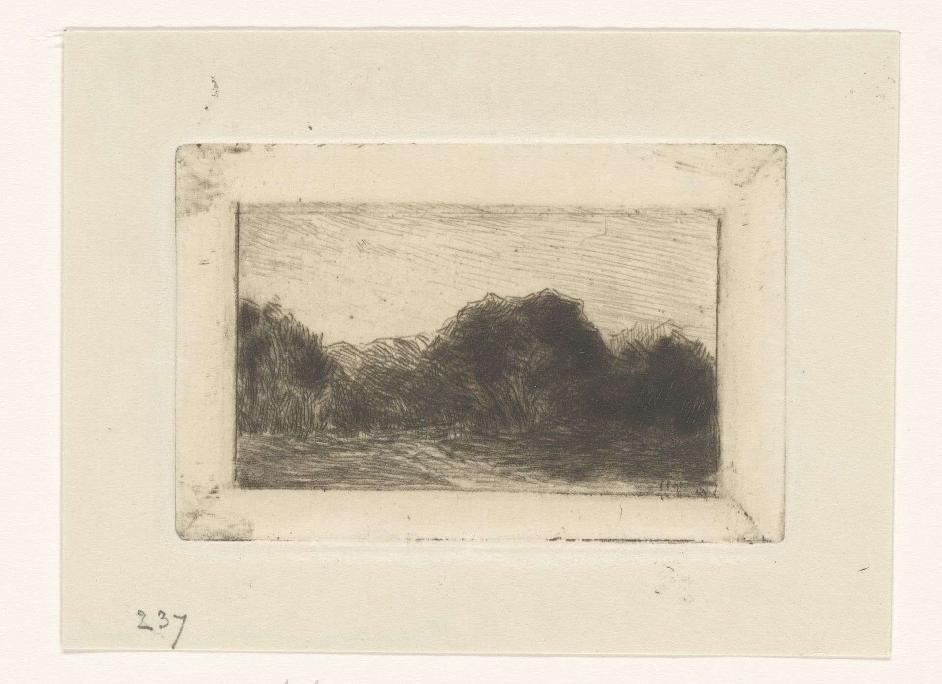 Boomgroep by Carel Nicolaas Storm van 's-Gravesande