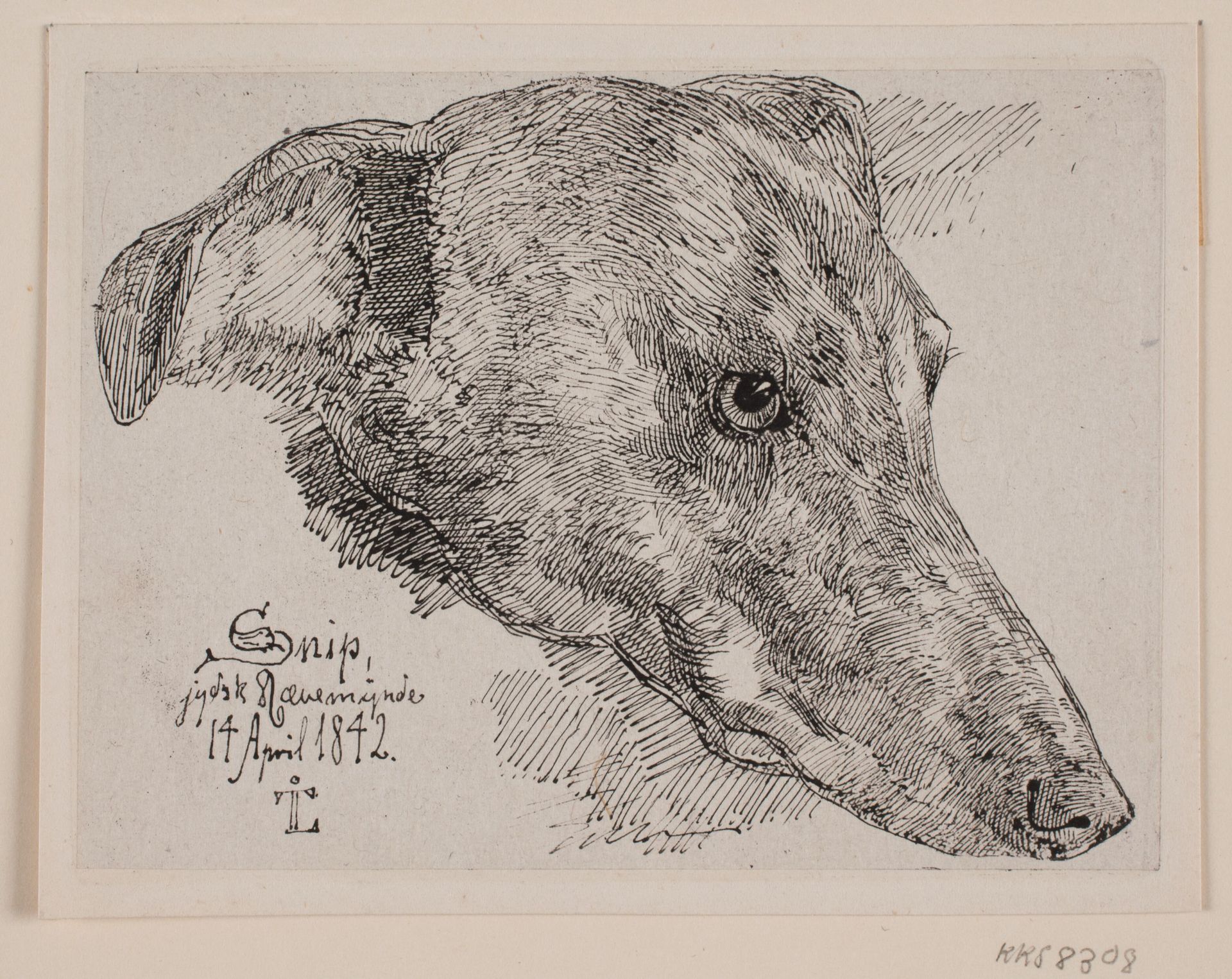 Hundehoved, Snip by Johan Thomas Lundbye