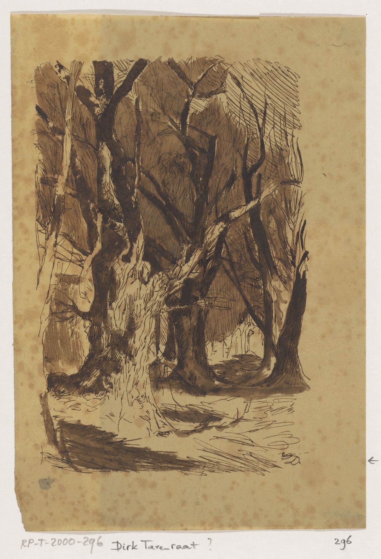 Bosgezicht by Dirk Arnoldus Tavenraat