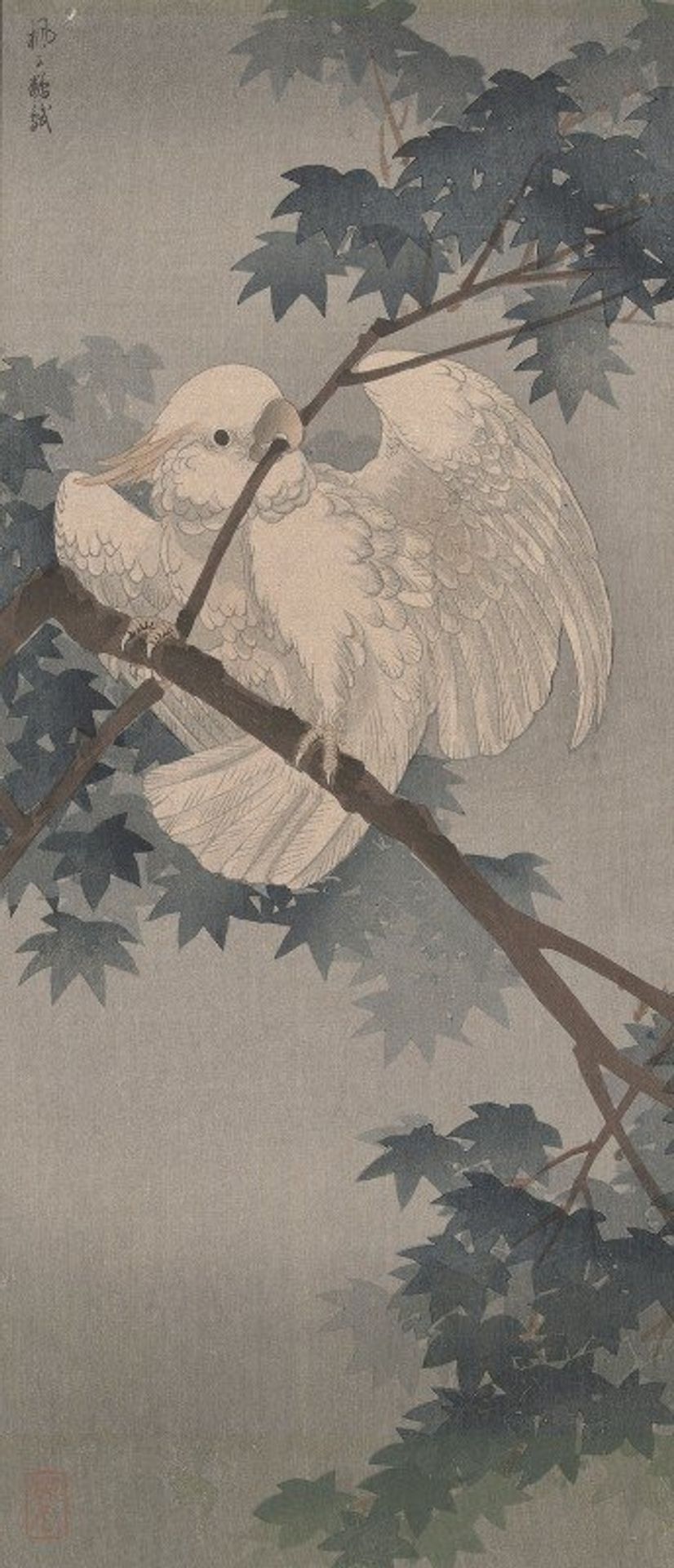 Yellow crested cockatoo in tree by Ohara Koson