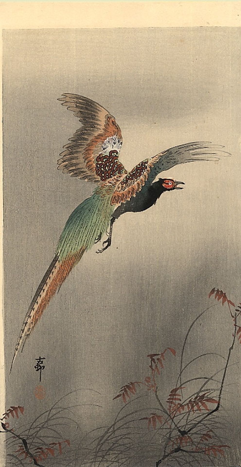Pheasant in Flight by Ohara Koson