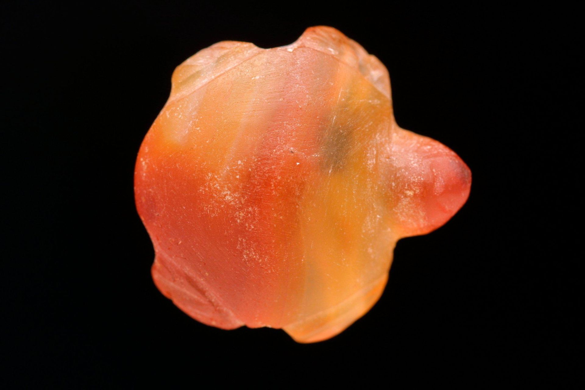 Bead in the Shape of a Tortoise by Anonymous