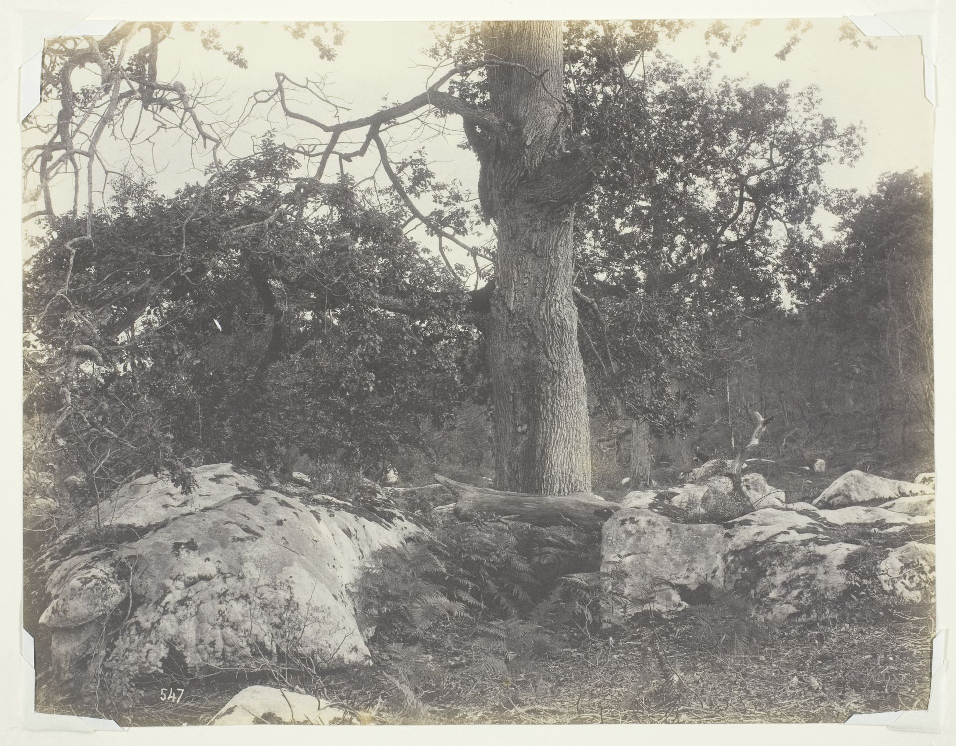 Forest and Rocks, Fontainebleau by Achille Quinet